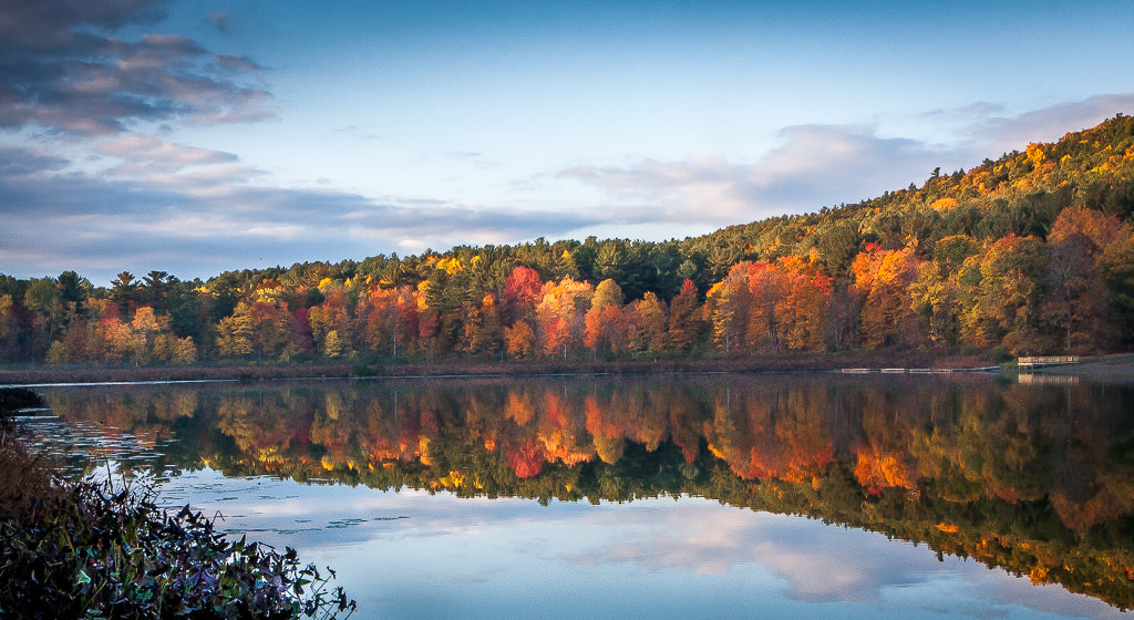 Canon EOS 40D + Canon EF 17-40mm F4L USM sample photo. Fall colors photography