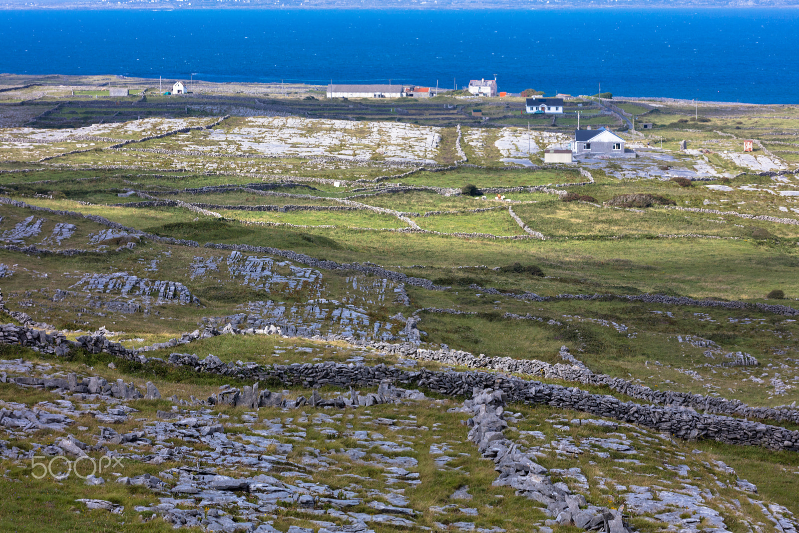 Sigma 150mm f/2.8 EX DG OS HSM APO Macro sample photo. Inish more, ireland photography