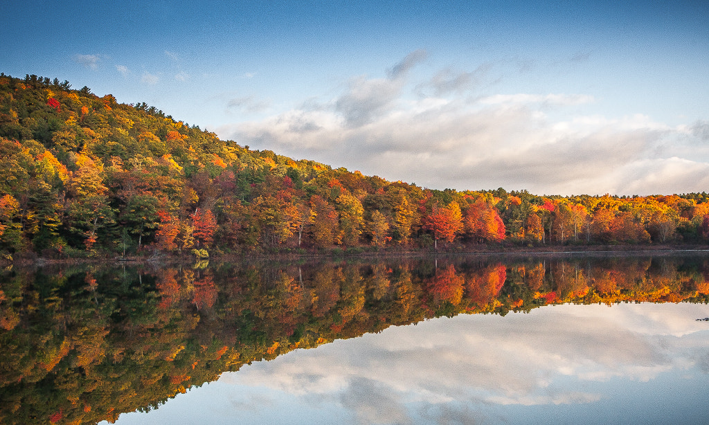 Canon EOS 40D + Canon EF 17-40mm F4L USM sample photo. Fall colors photography