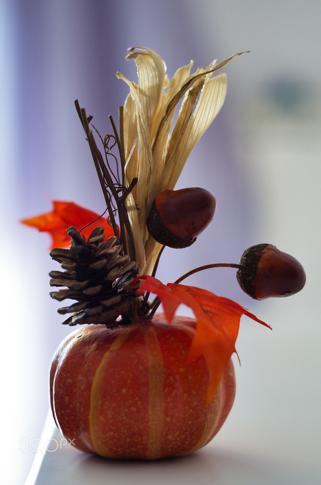 Pentax K-50 + A Series Lens sample photo. Halloween is coming! photography