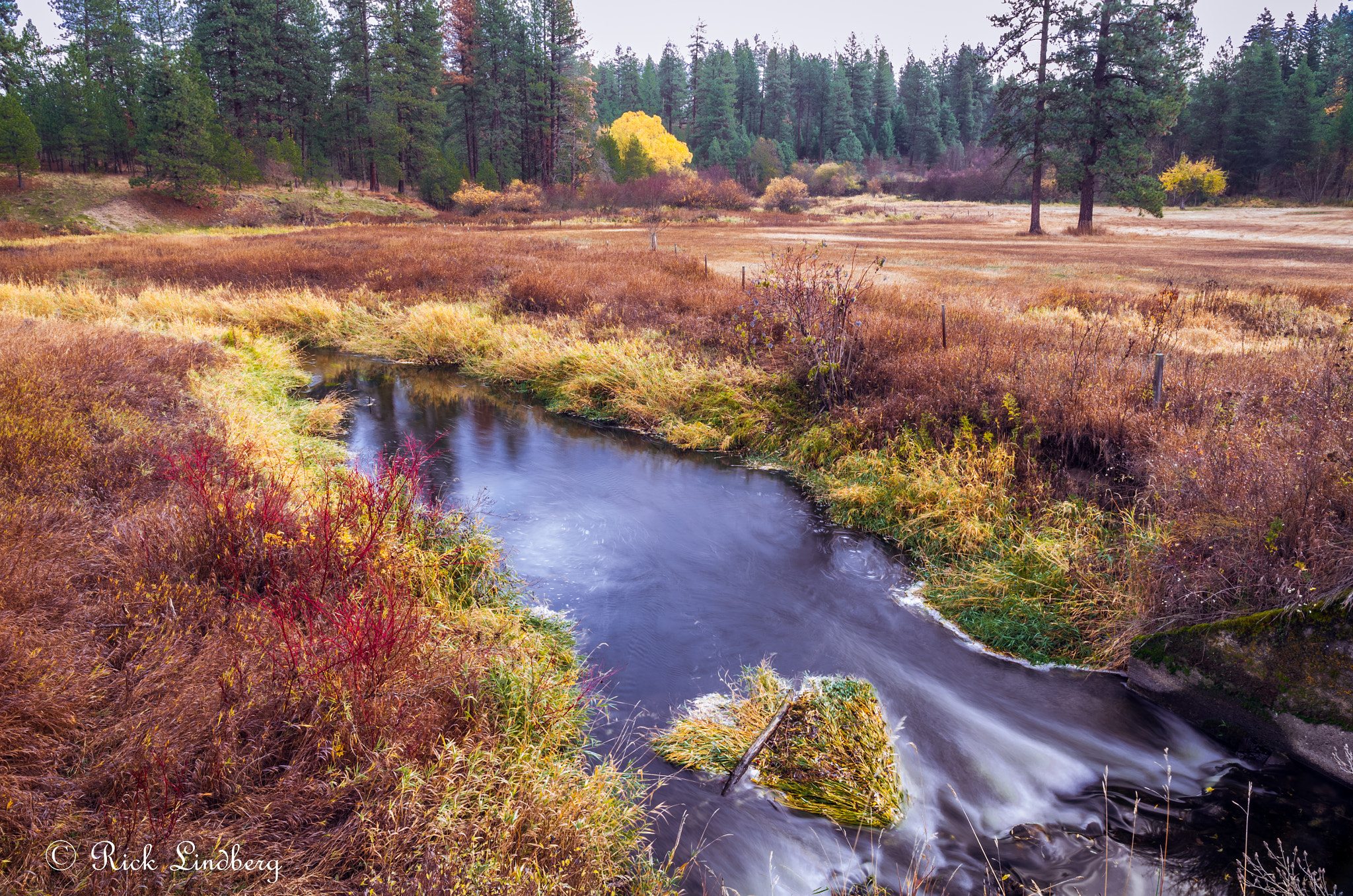 Pentax K-5 + A Series Lens sample photo. Fall flow photography