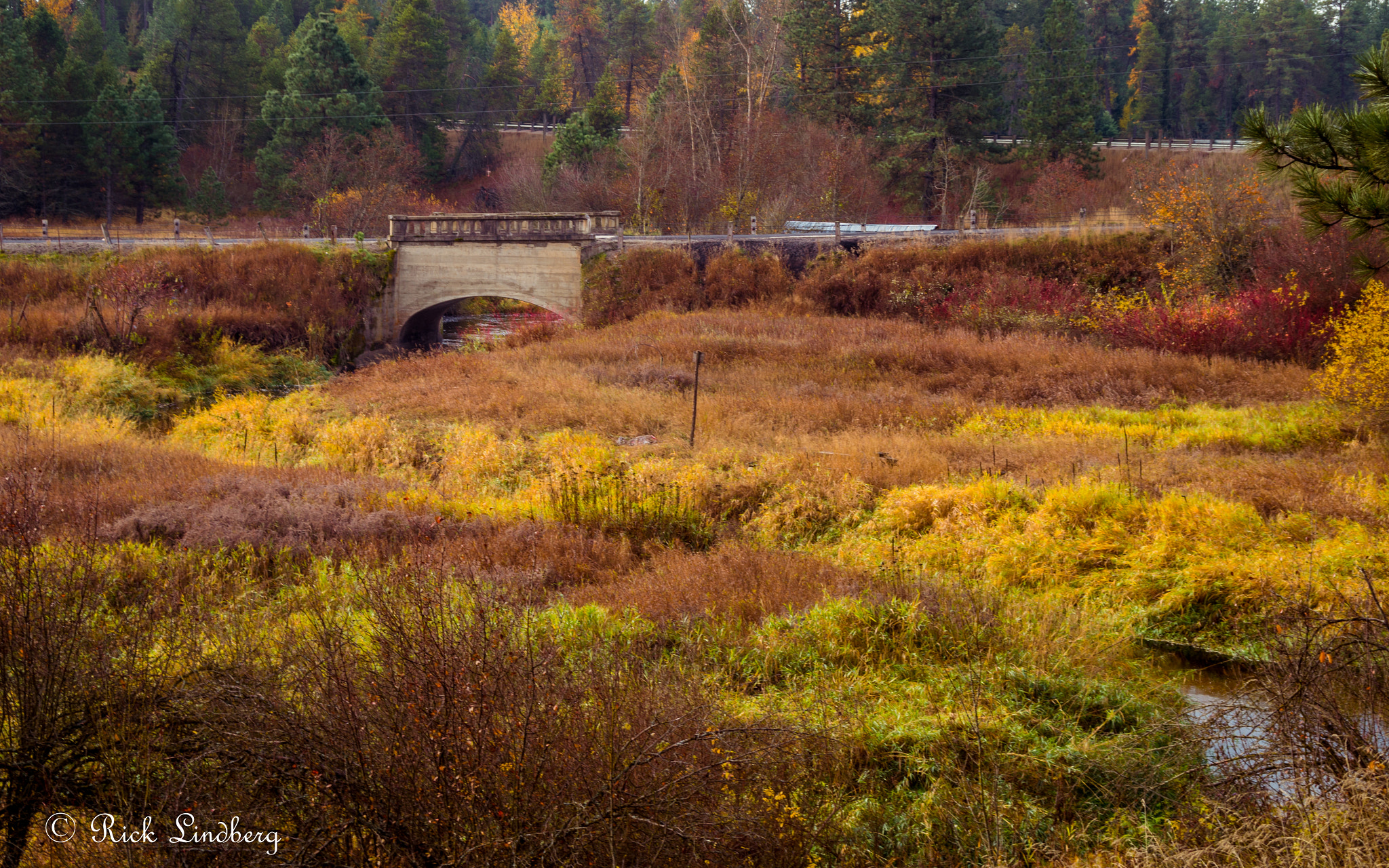 Pentax K-50 sample photo. Fall field photography