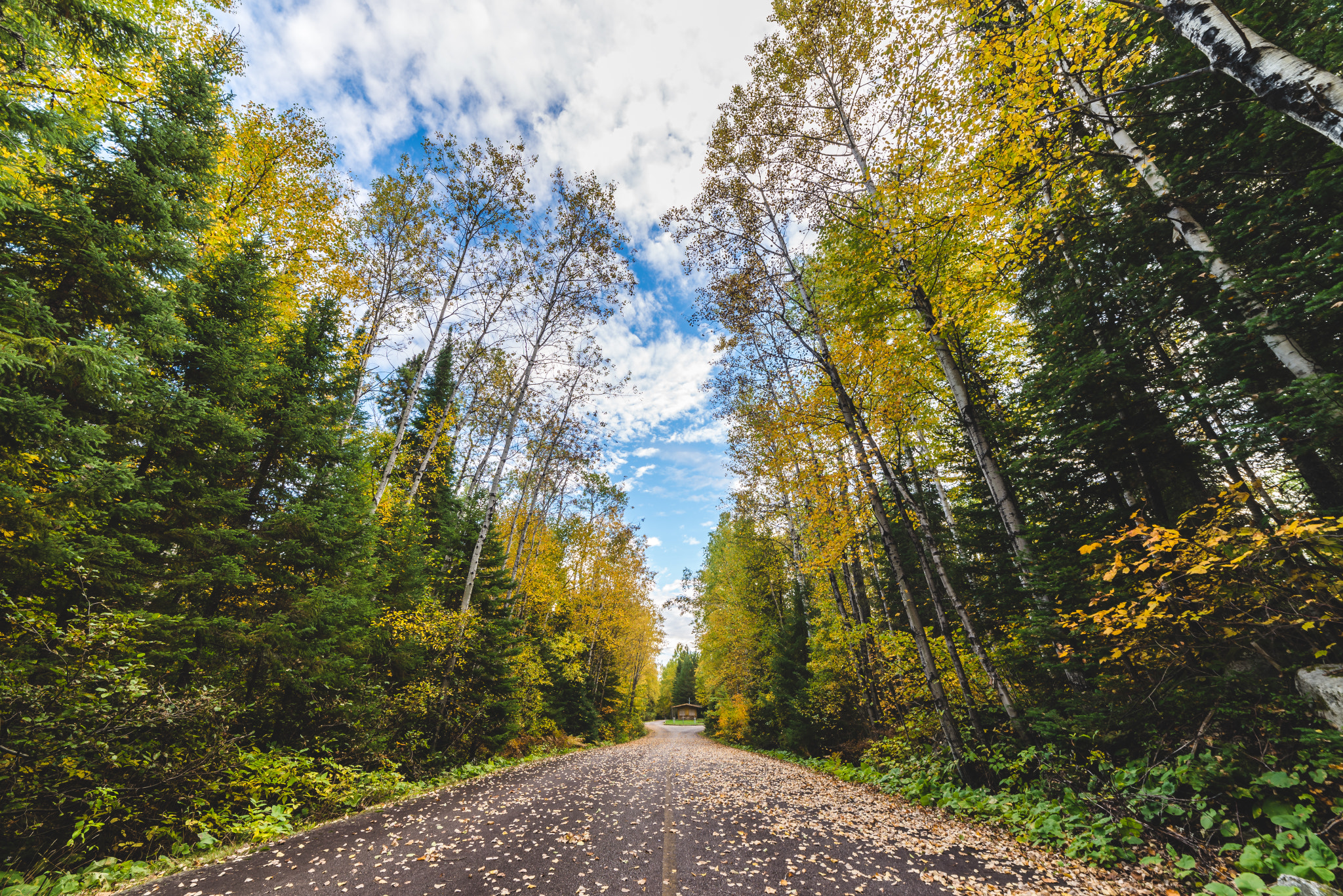 Samyang 14mm F2.8 ED AS IF UMC sample photo. Fall hdr photography