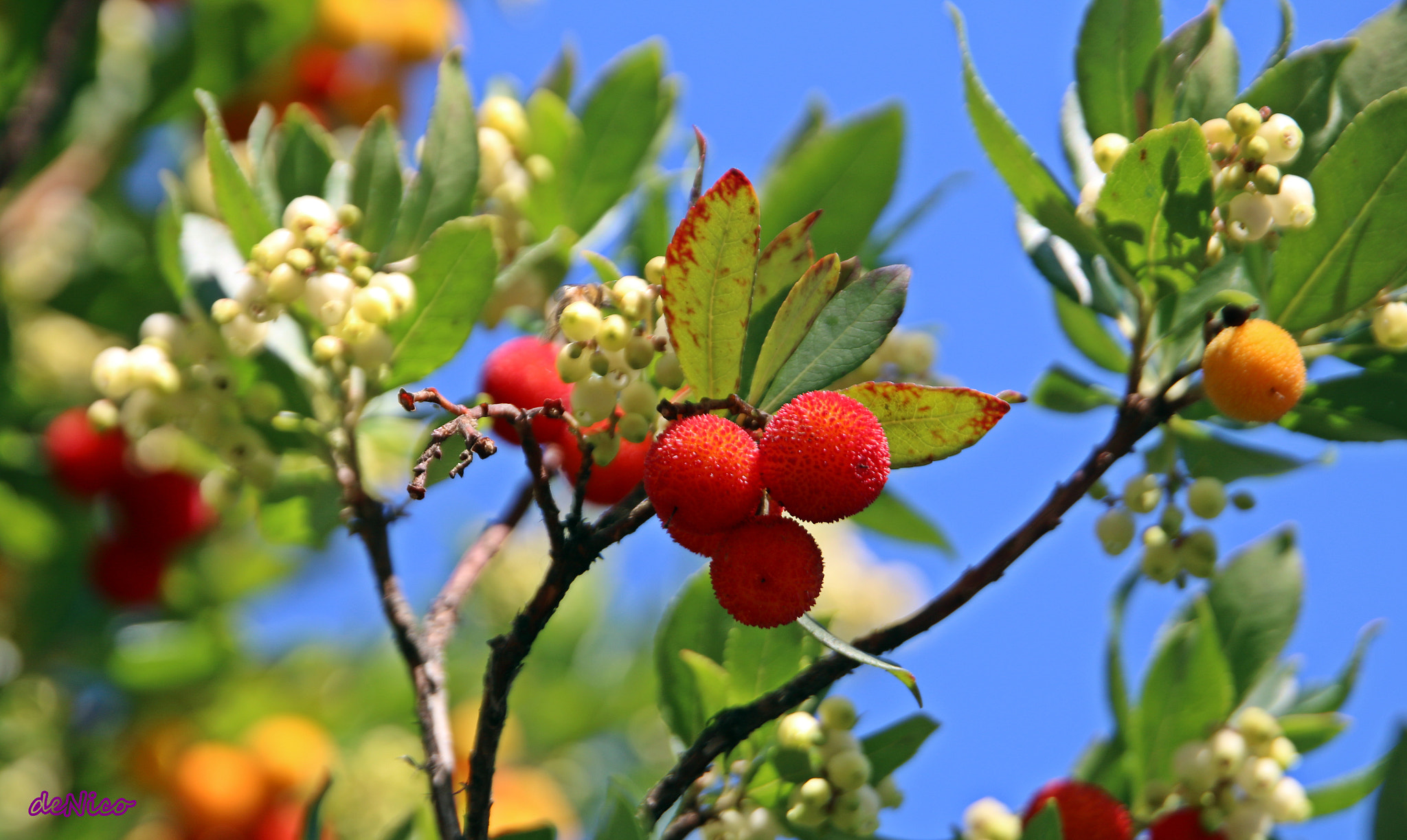 Sigma 24-105mm f/4 DG OS HSM | A sample photo. Img photography