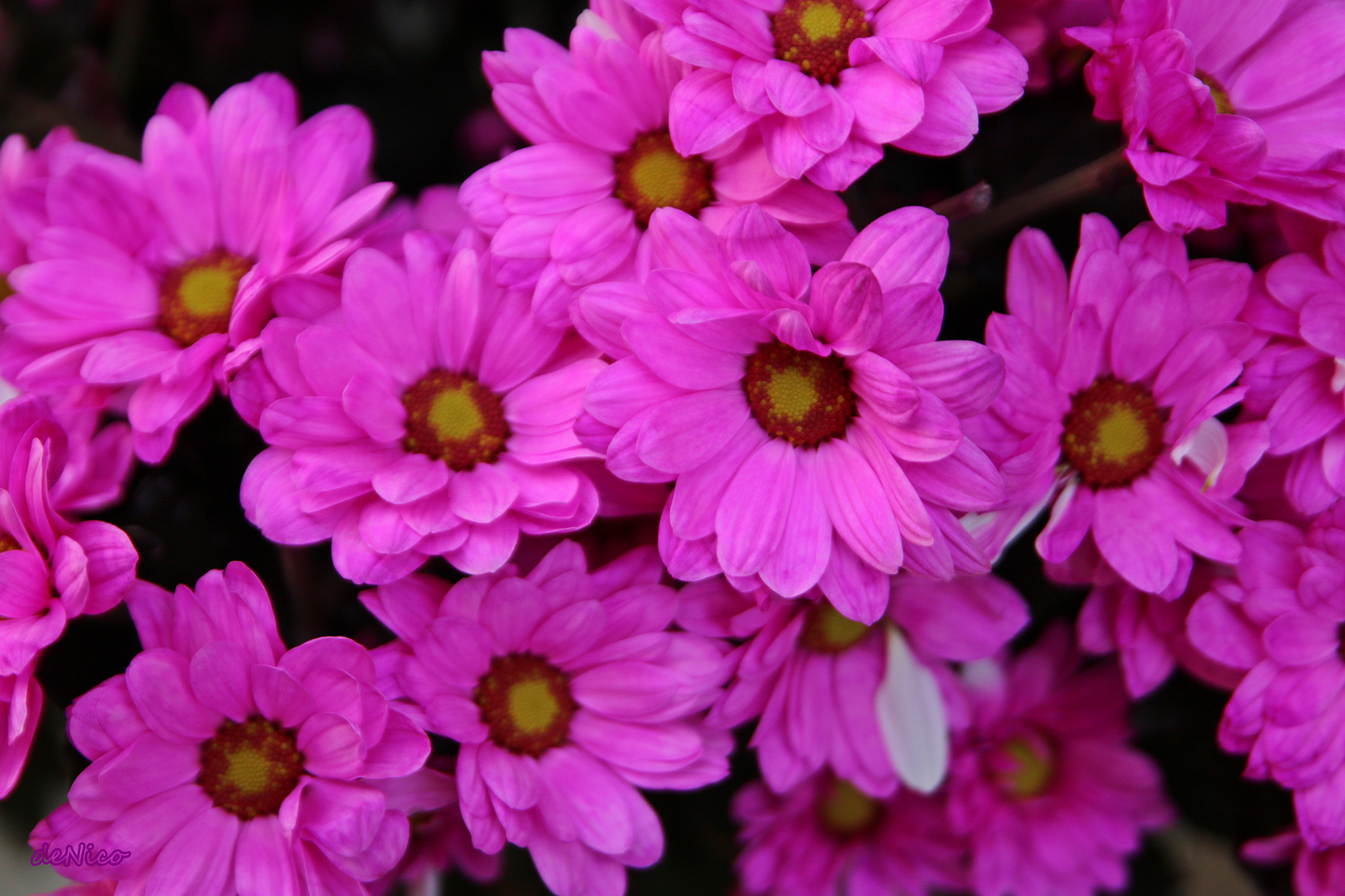 Sigma 24-105mm f/4 DG OS HSM | A sample photo. Img photography