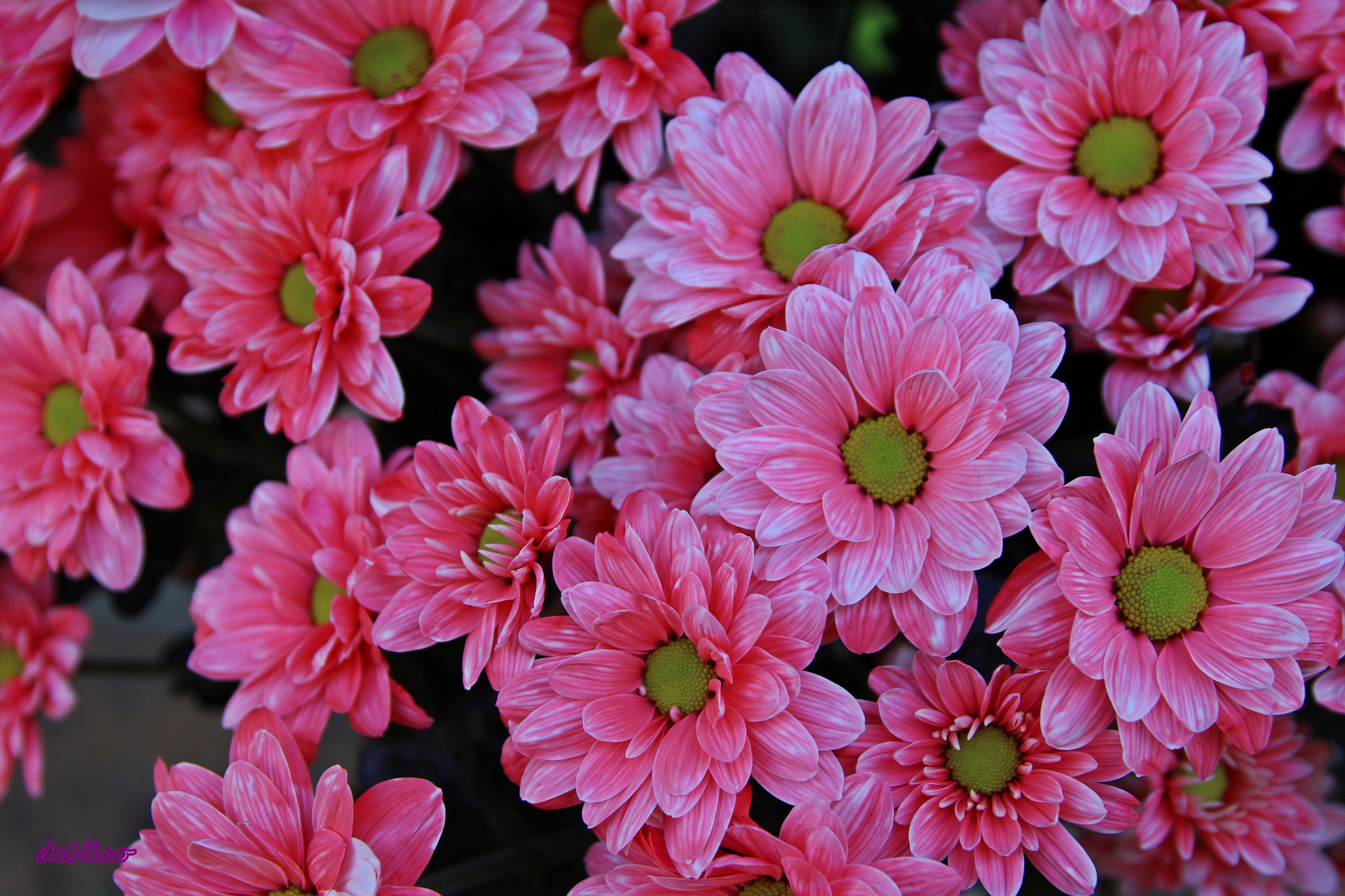 Sigma 24-105mm f/4 DG OS HSM | A sample photo. Img photography