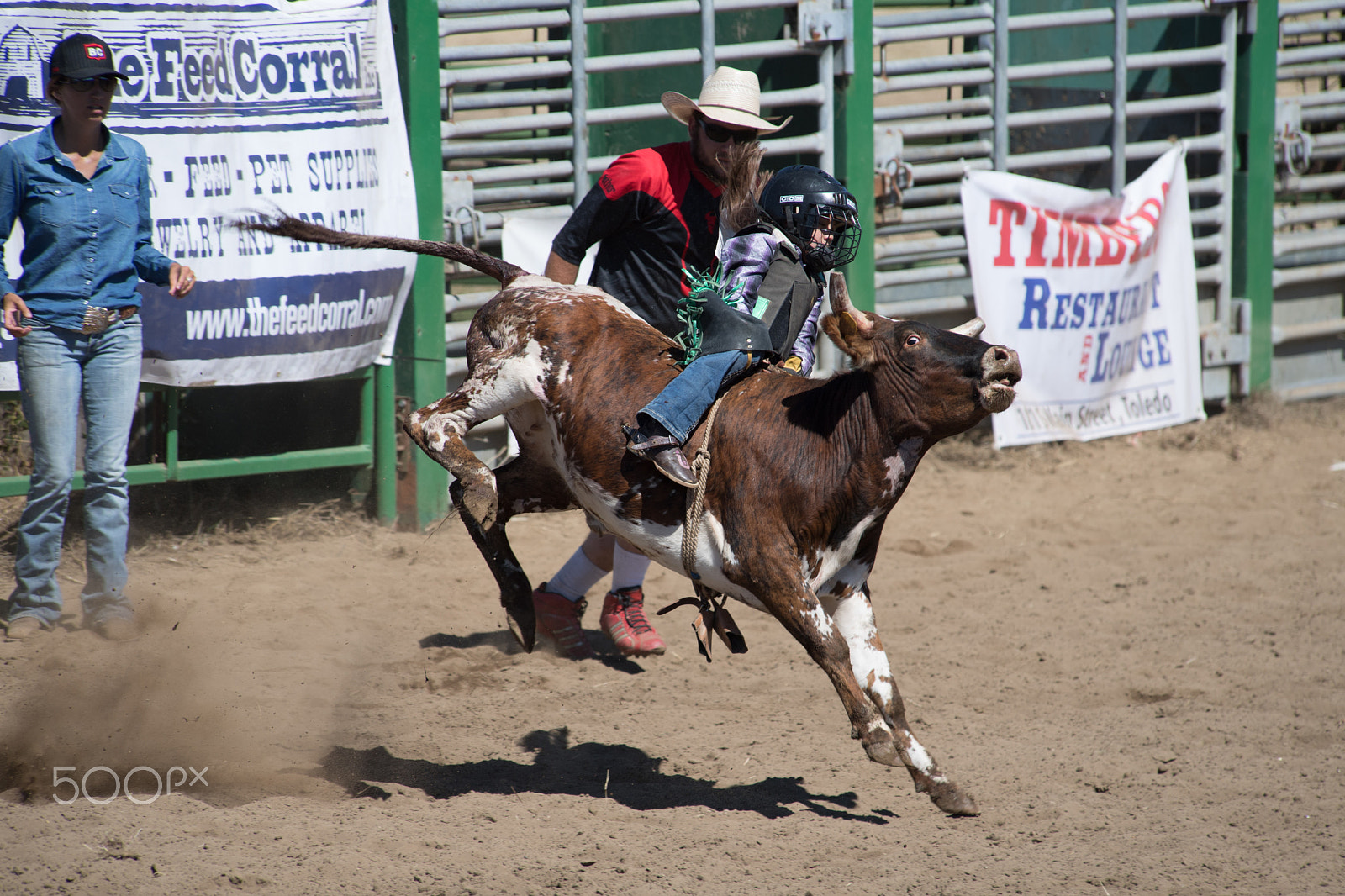 Nikon D5 sample photo. Moma don't let your babies grow up to be cowboys photography