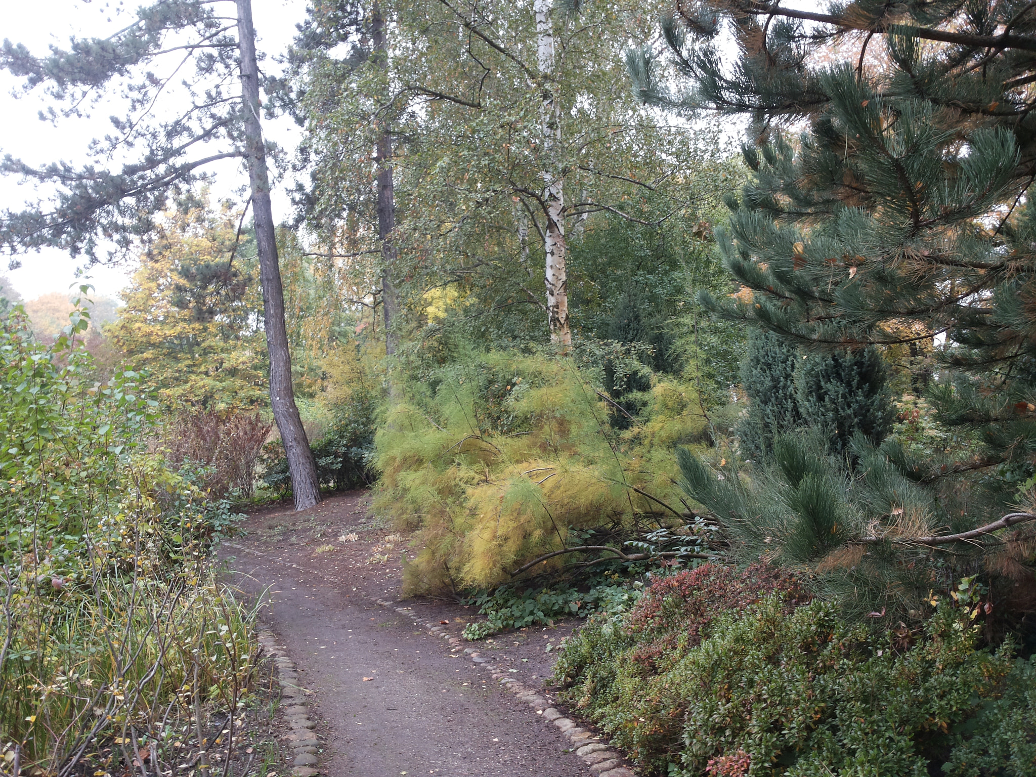 Samsung Galaxy S2 Plus sample photo. Treptower park photography