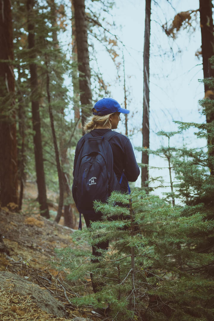 Nikon D3300 + Nikon AF Nikkor 50mm F1.4D sample photo. Yosemite 4 mile trail photography