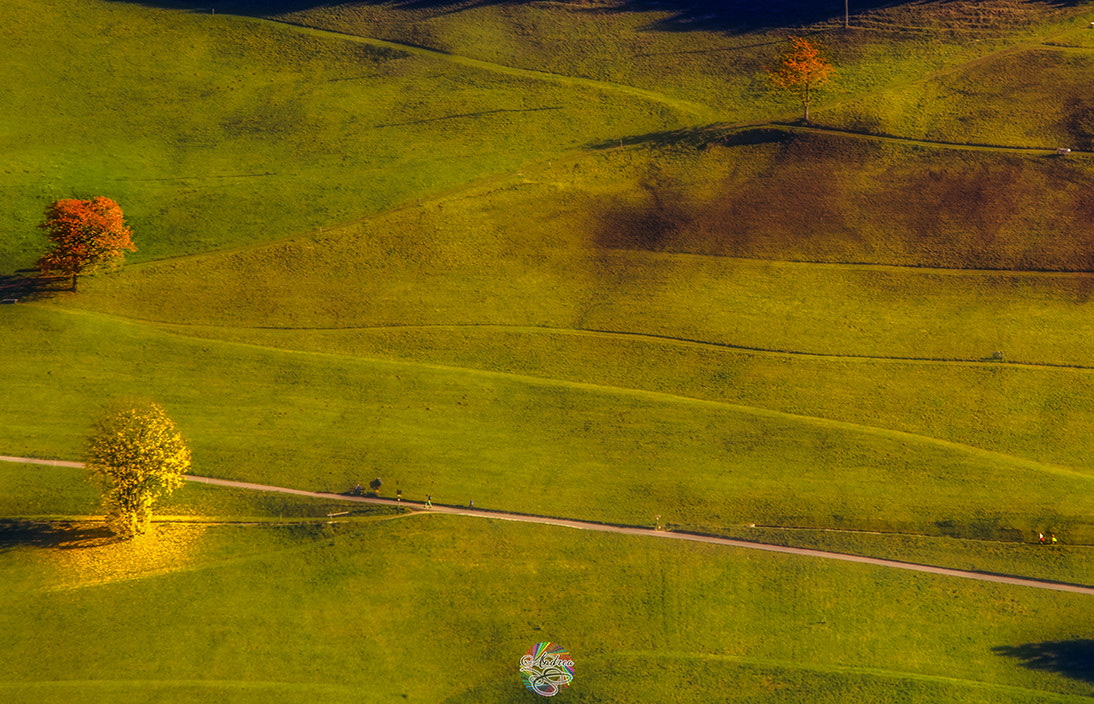 Sigma 150mm f/2.8 EX DG OS HSM APO Macro sample photo. Minimal lines when october ride. photography