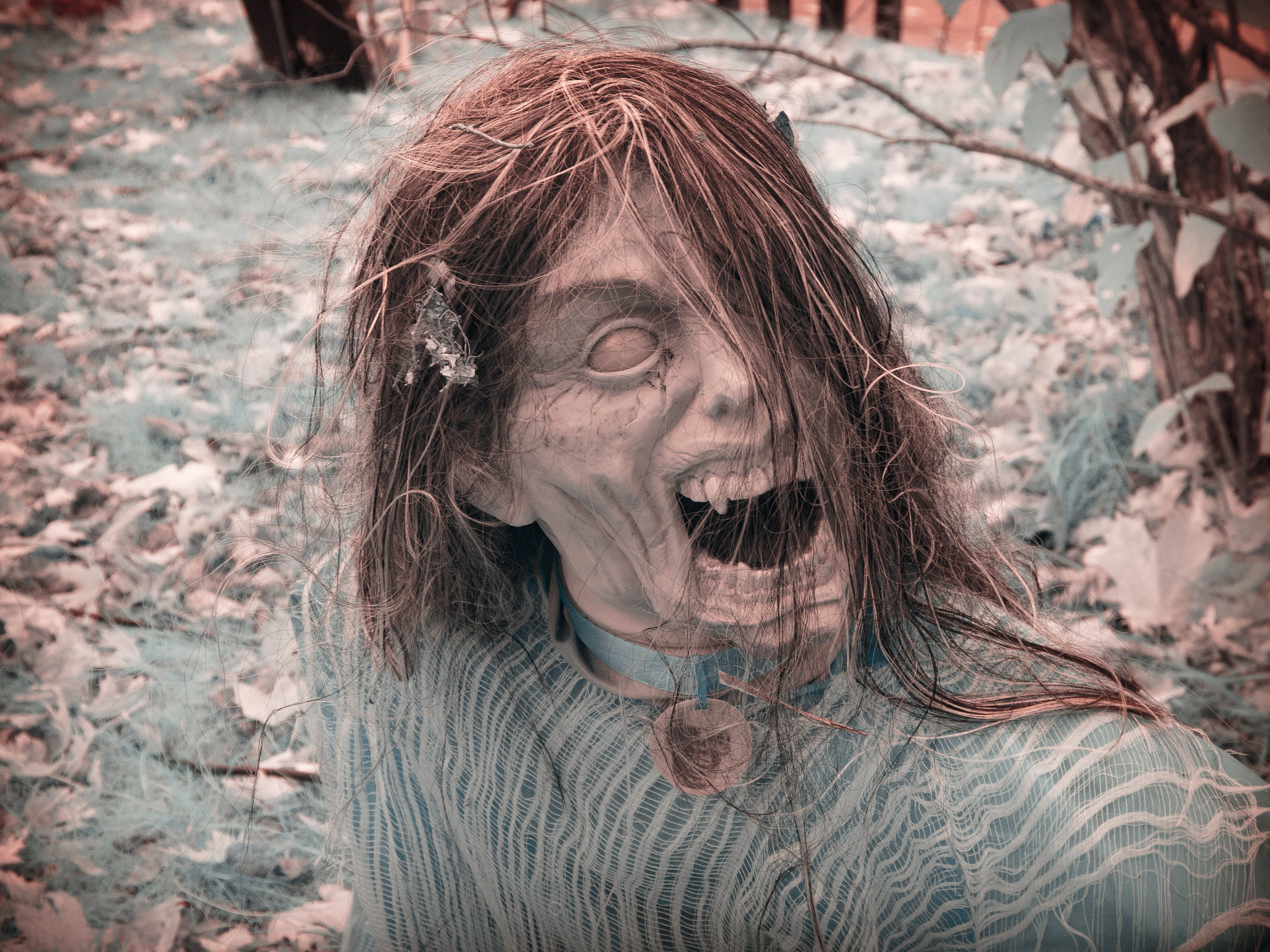 Olympus PEN E-P5 sample photo. Graveside manor photography