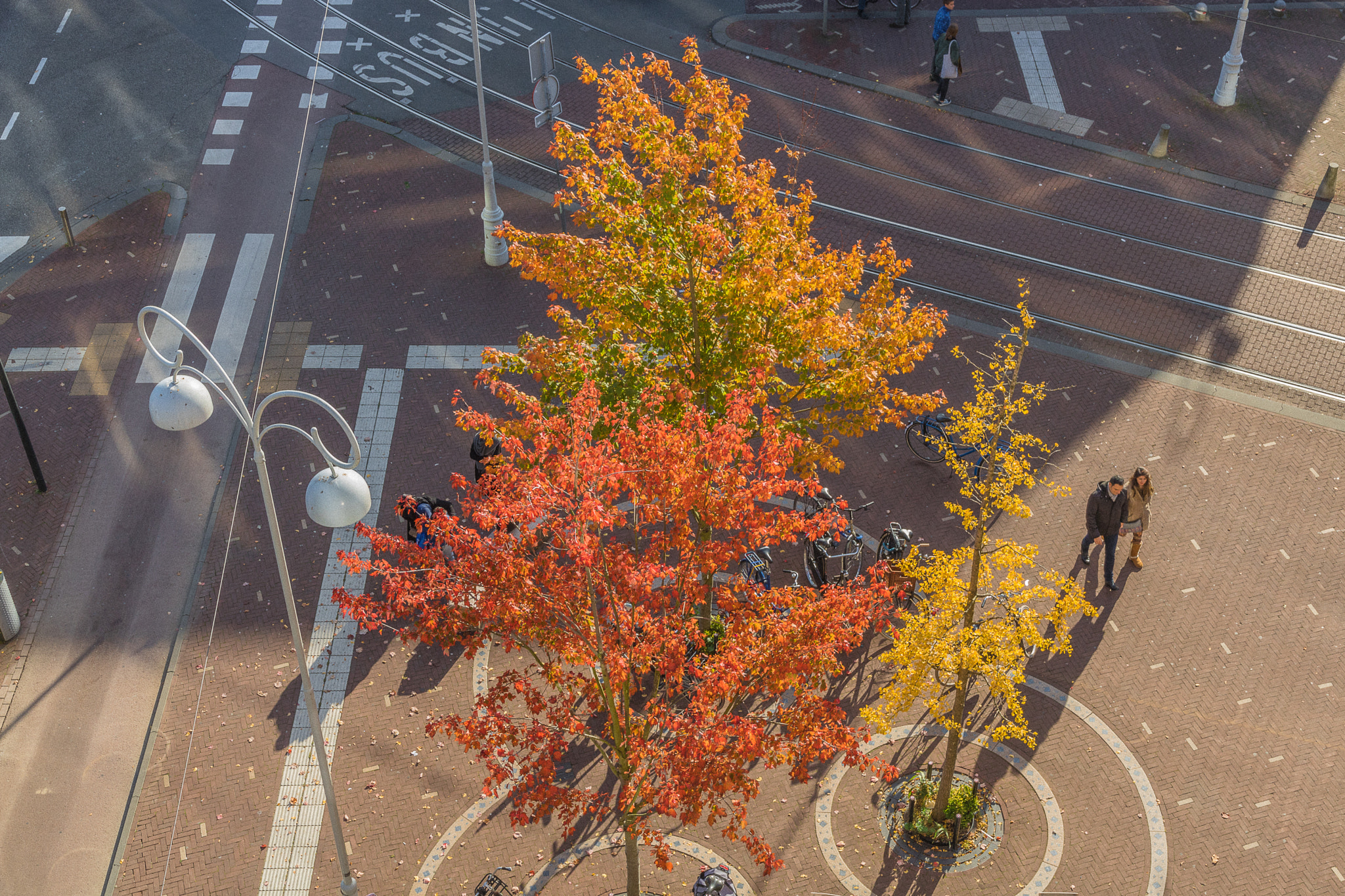 Canon EOS 760D (EOS Rebel T6s / EOS 8000D) sample photo. Javaplein - amsterdam photography