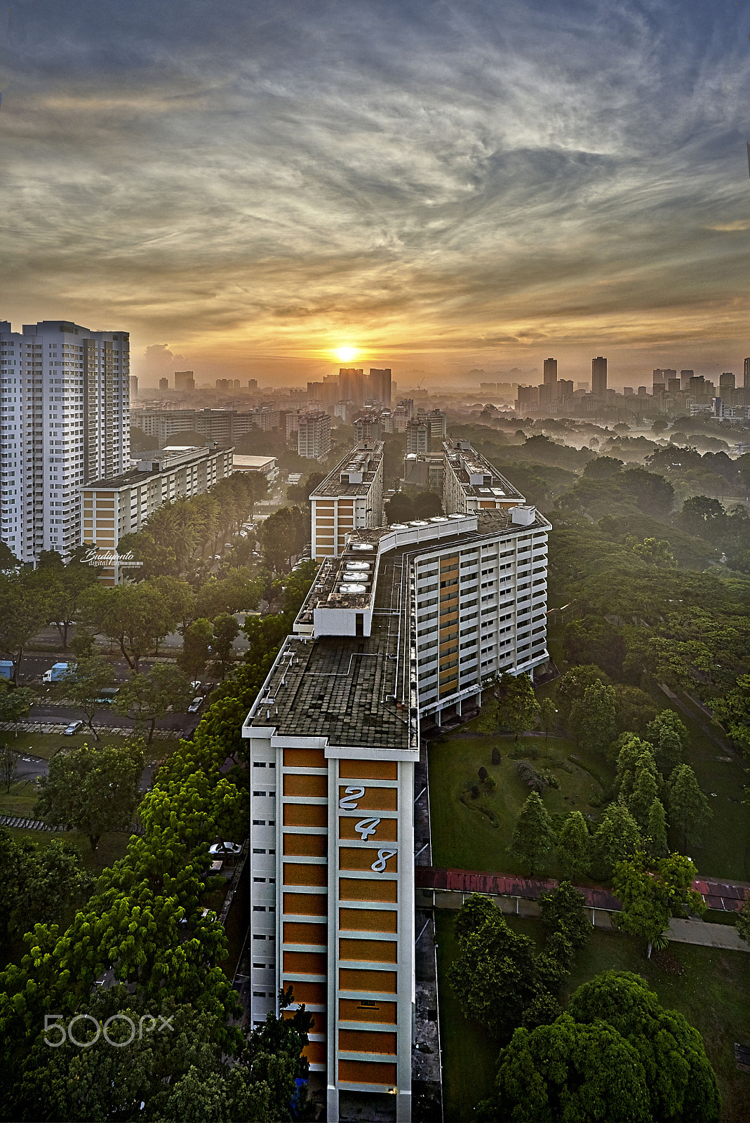 Nikon D610 + Nikon AF-S Nikkor 20mm F1.8G ED sample photo. Wake up :) photography