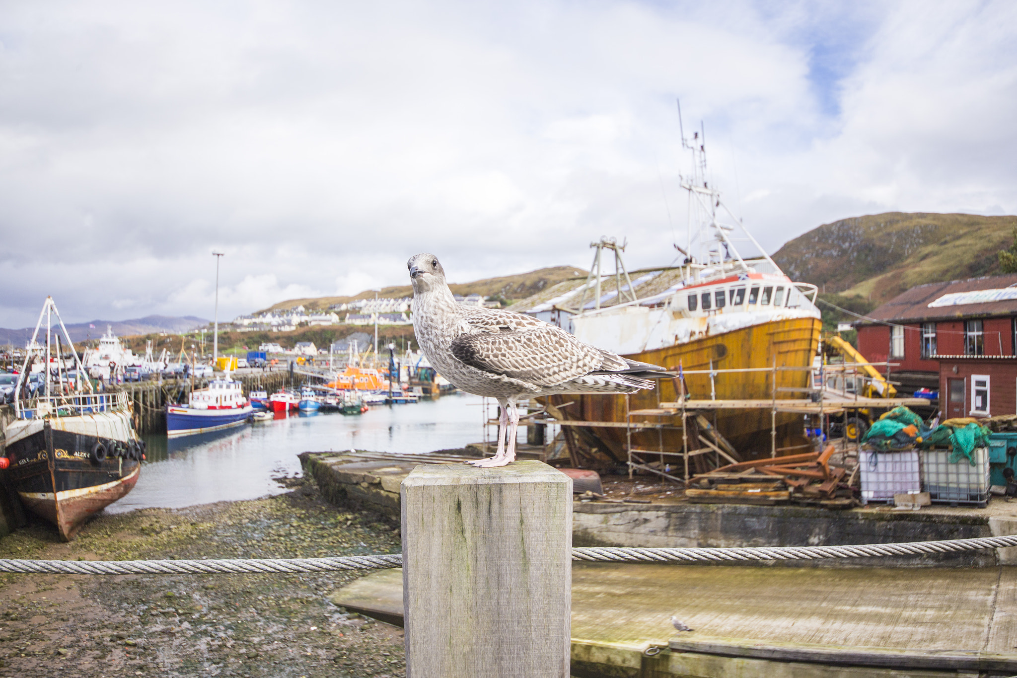 Canon EOS 6D + Sigma 12-24mm F4.5-5.6 II DG HSM sample photo. Mallaig photography