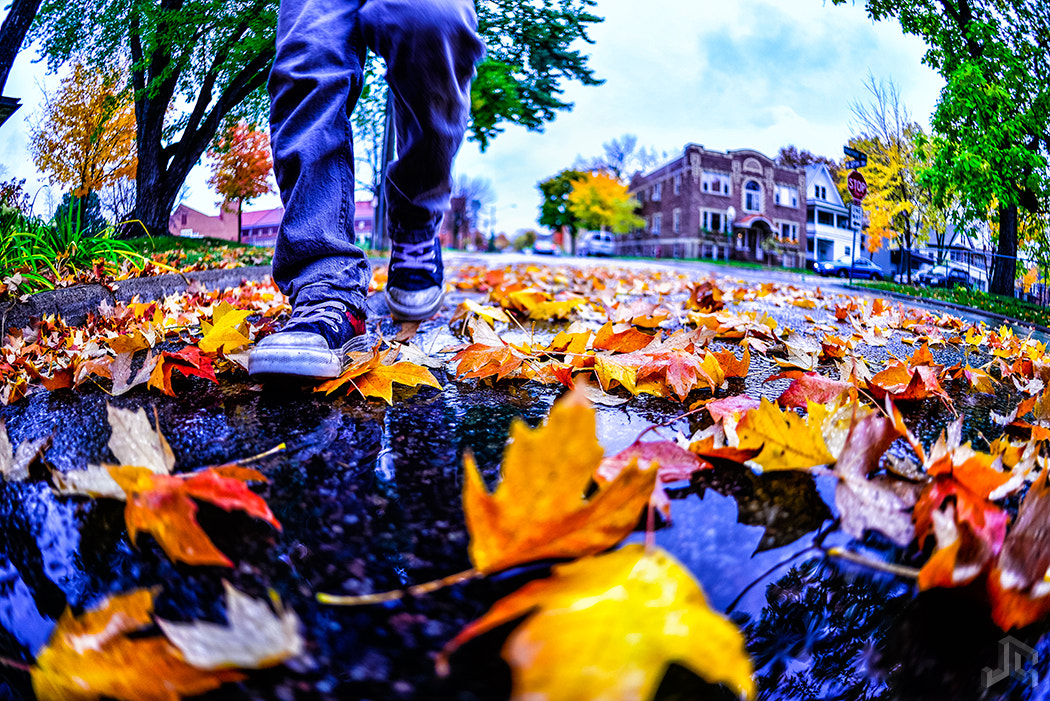 Nikon D610 sample photo. Rainy fall day walk photography