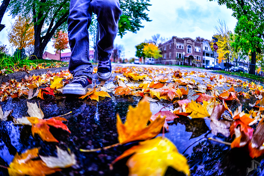 Nikon D610 + Nikon AF Fisheye-Nikkor 16mm F2.8D sample photo. Rainy fall day walk photography