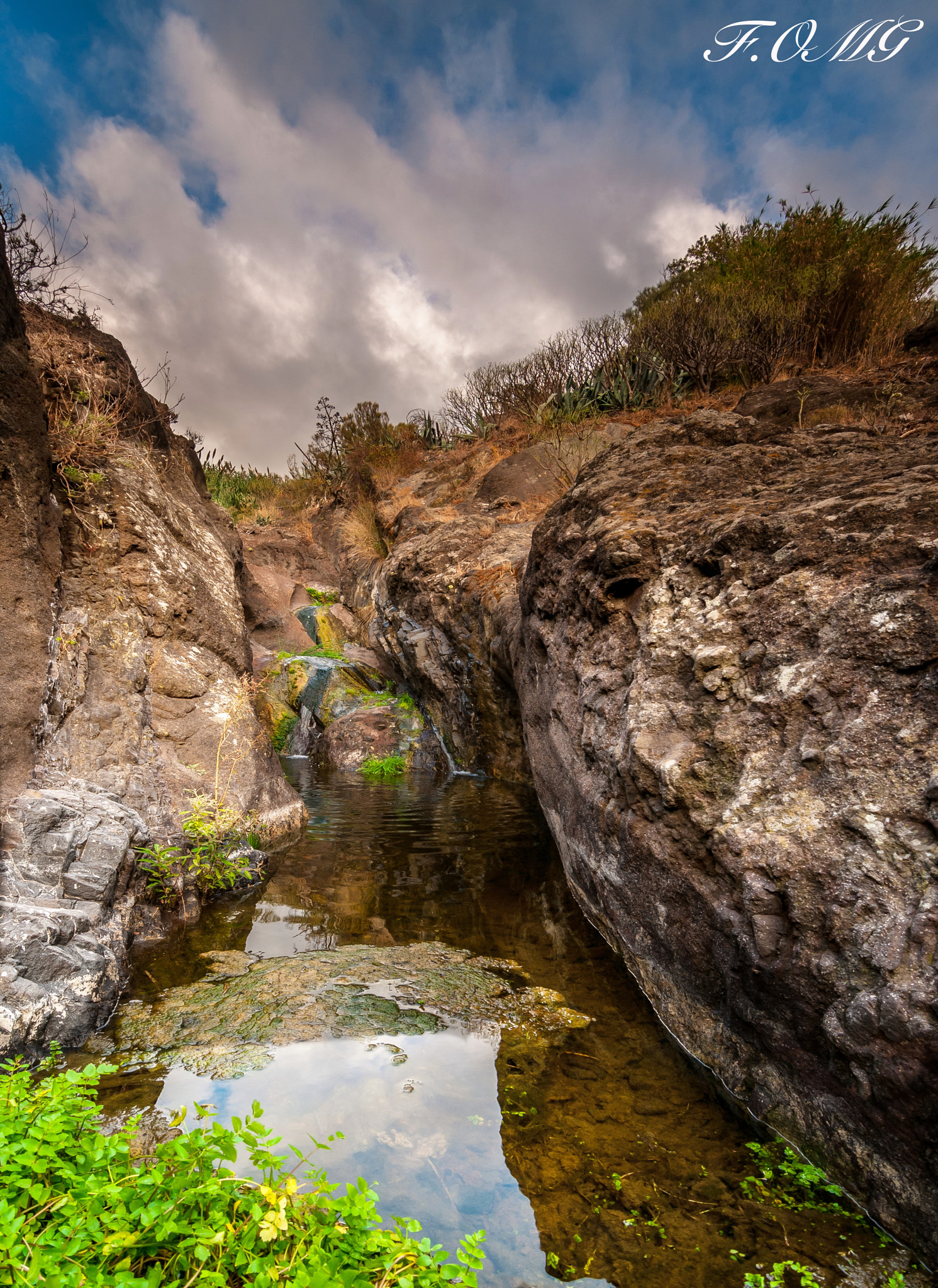 Nikon D300S sample photo. Los carrizales photography