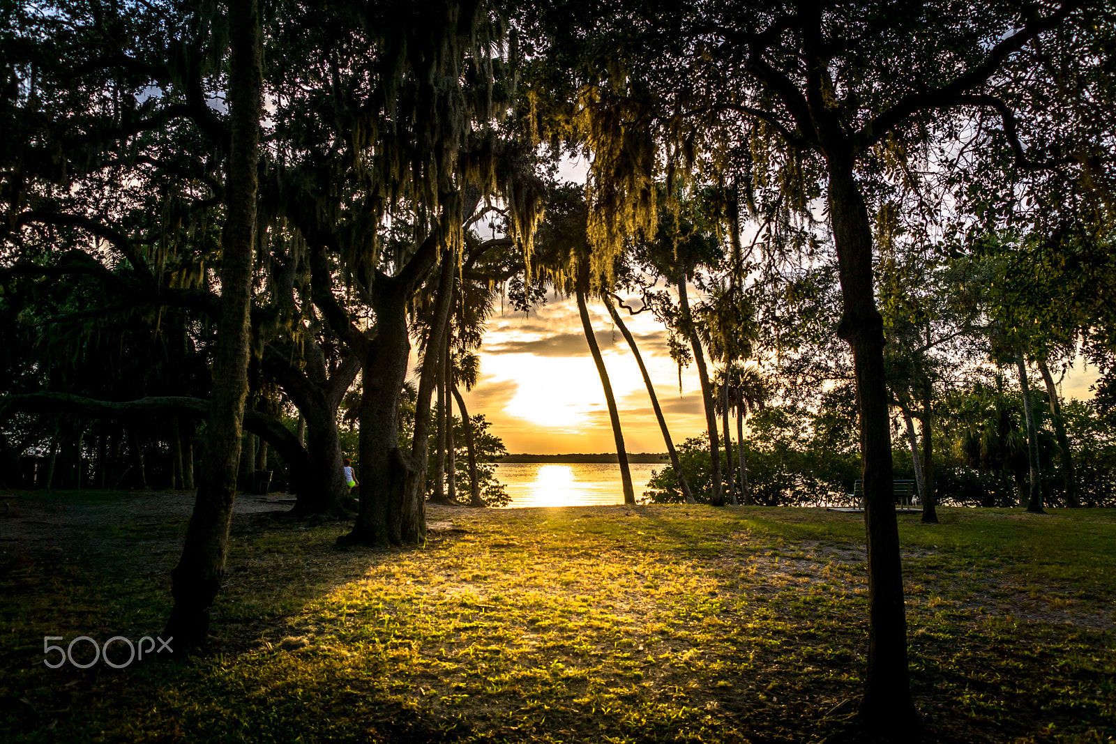Sony ILCA-77M2 sample photo. Abercrombie sunset photography