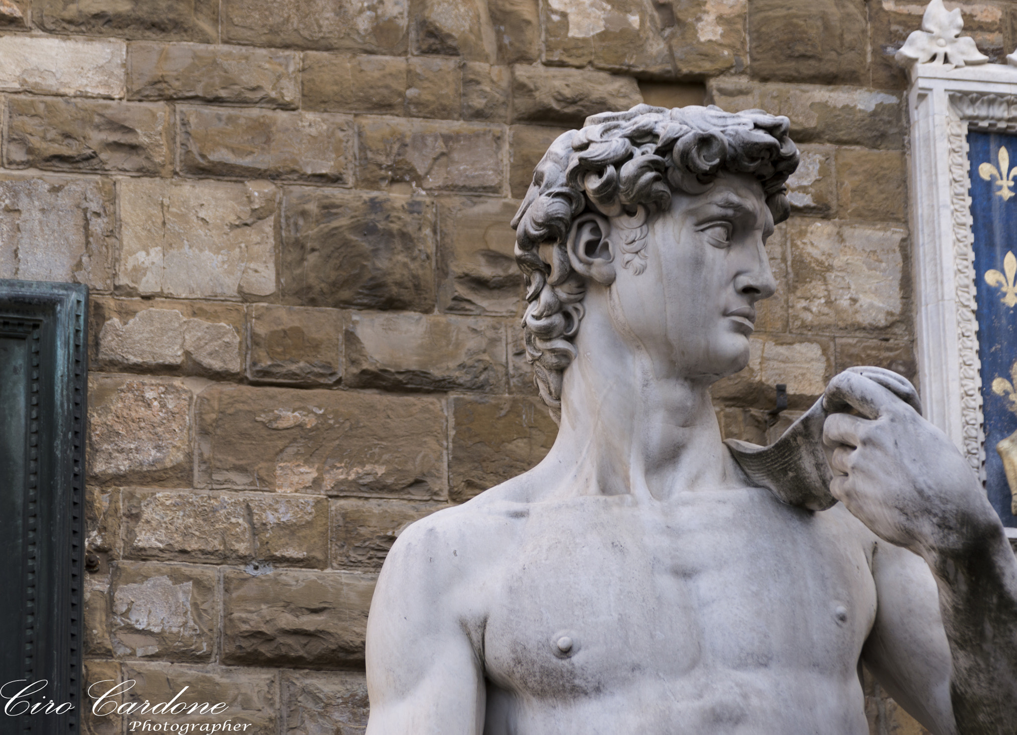 Sigma 28-300mm F3.5-6.3 DG Macro sample photo. David di michelangelo photography