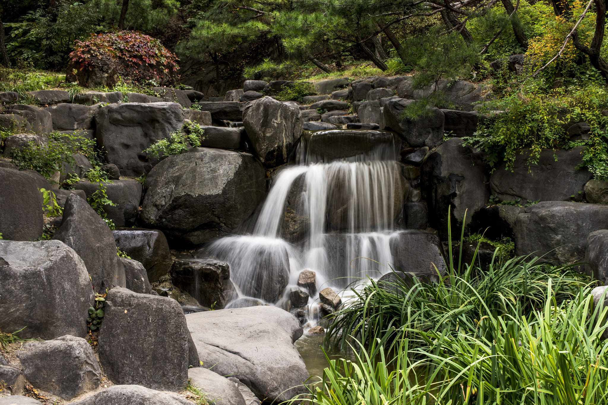 Nikon D610 + Sigma 50mm F1.4 EX DG HSM sample photo. Mini waterfall photography