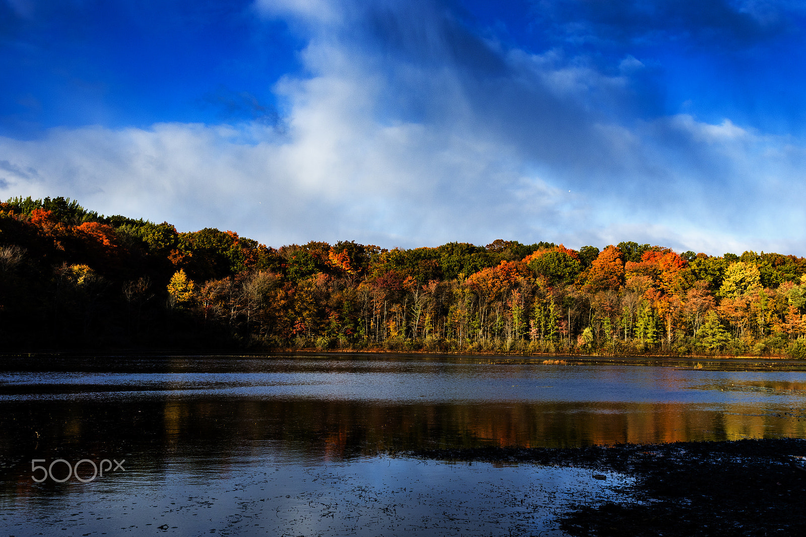 Canon EF 24mm f/1.4L sample photo. Fall colour photography