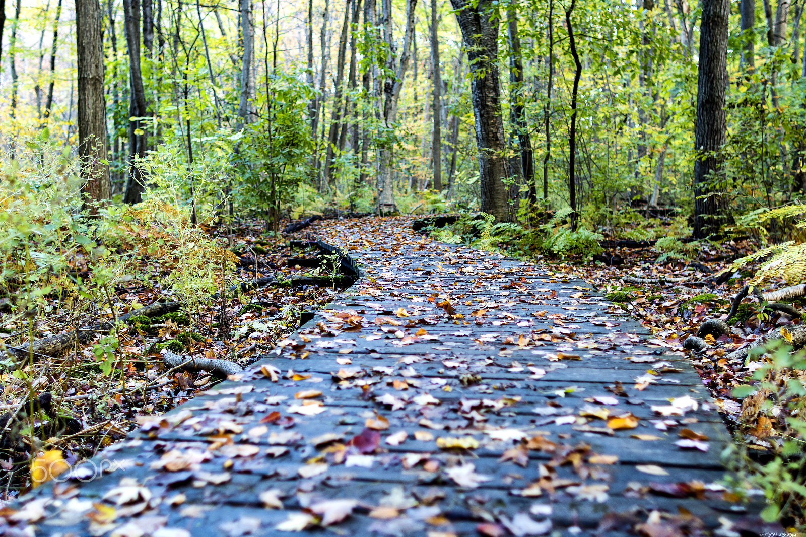 Canon EOS 7D Mark II + Canon EF 24mm f/1.4L sample photo. Change of focus photography