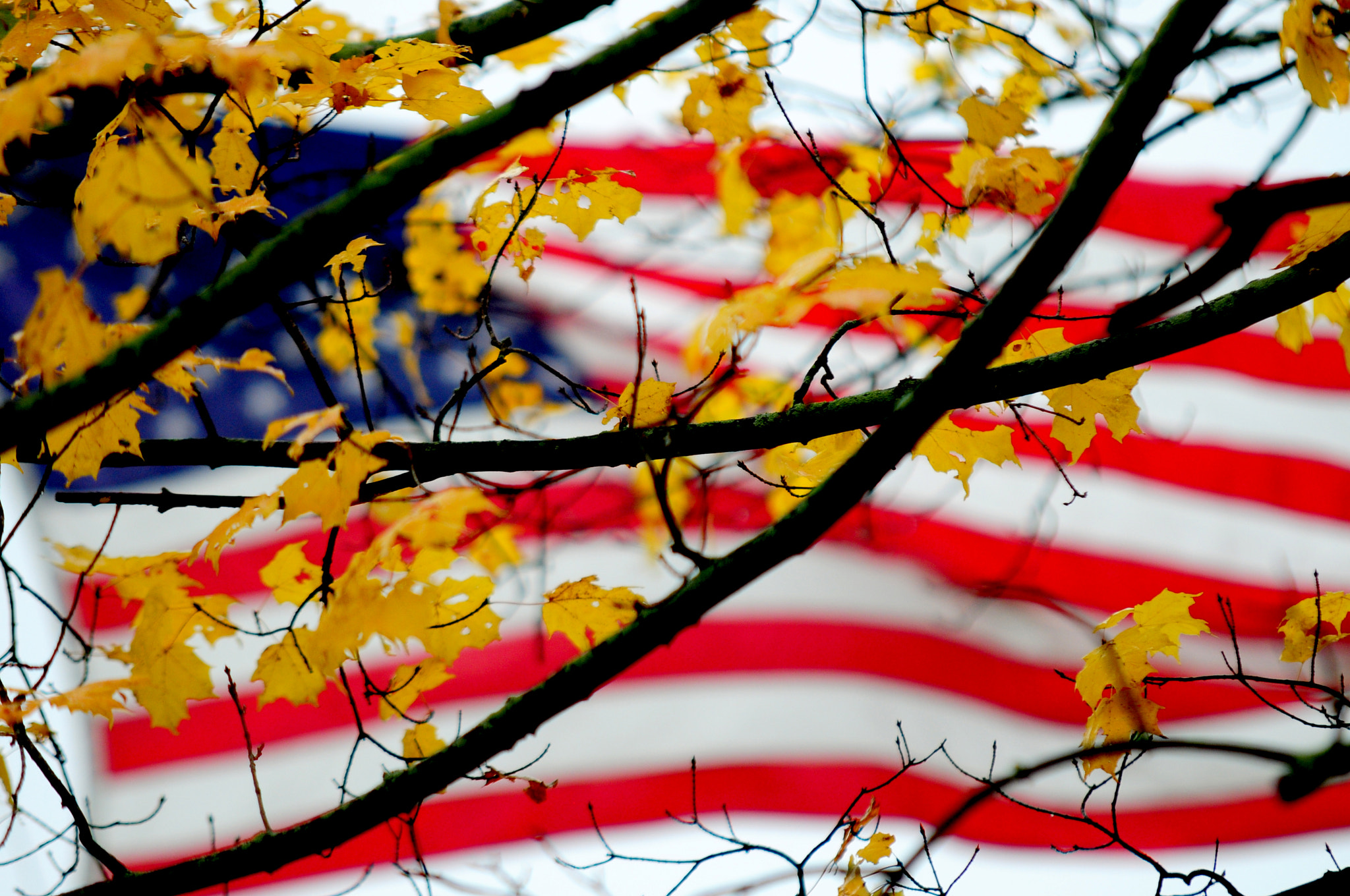 Nikon D300 + Sigma 70-200mm F2.8 EX DG Macro HSM II sample photo. Jim vaiknoras/staff photo the flag waves on a cold october day behind changing leaves at the... photography