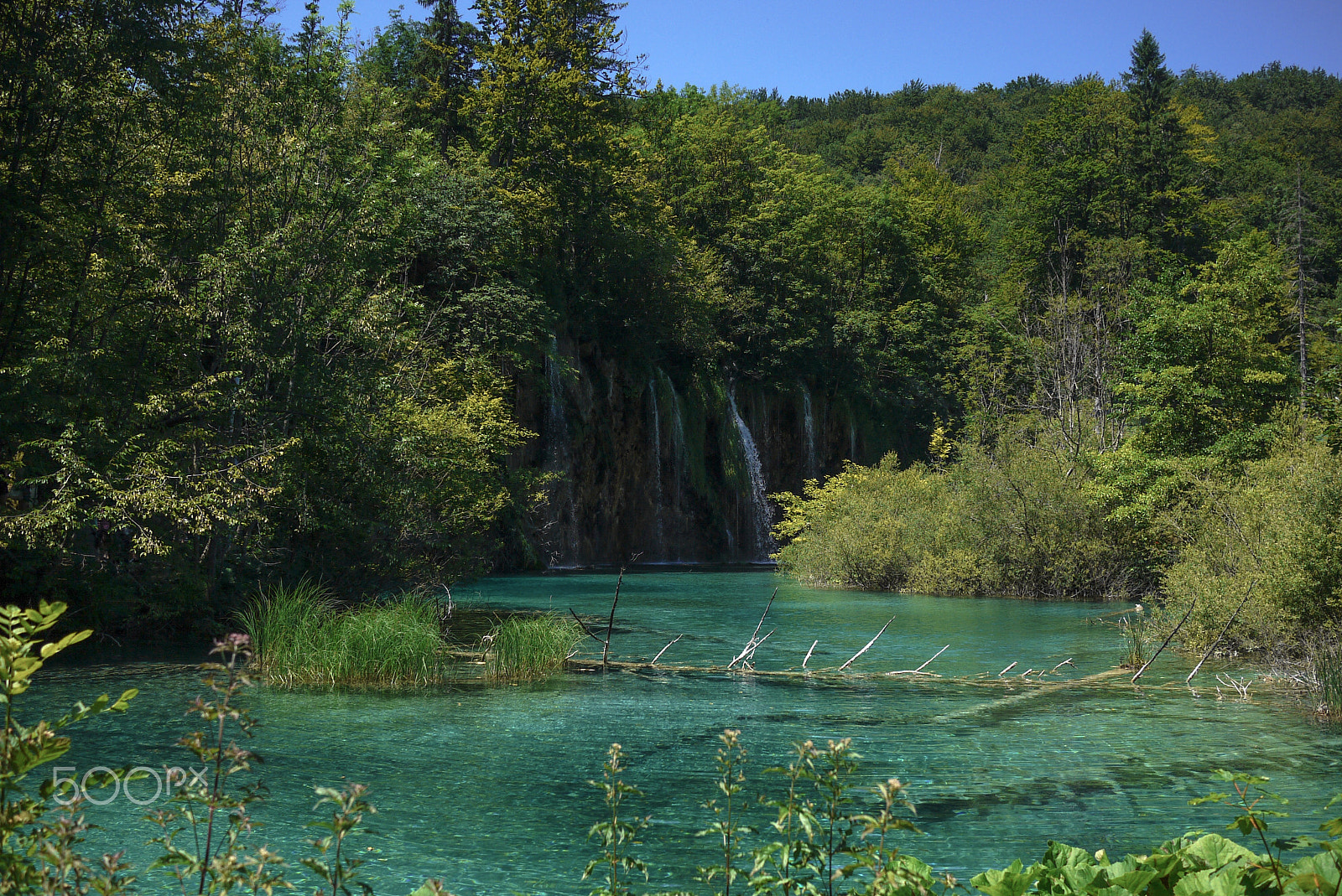 Panasonic Lumix DMC-GF1 + LUMIX G 20/F1.7 II sample photo. Plitvice jezera photography