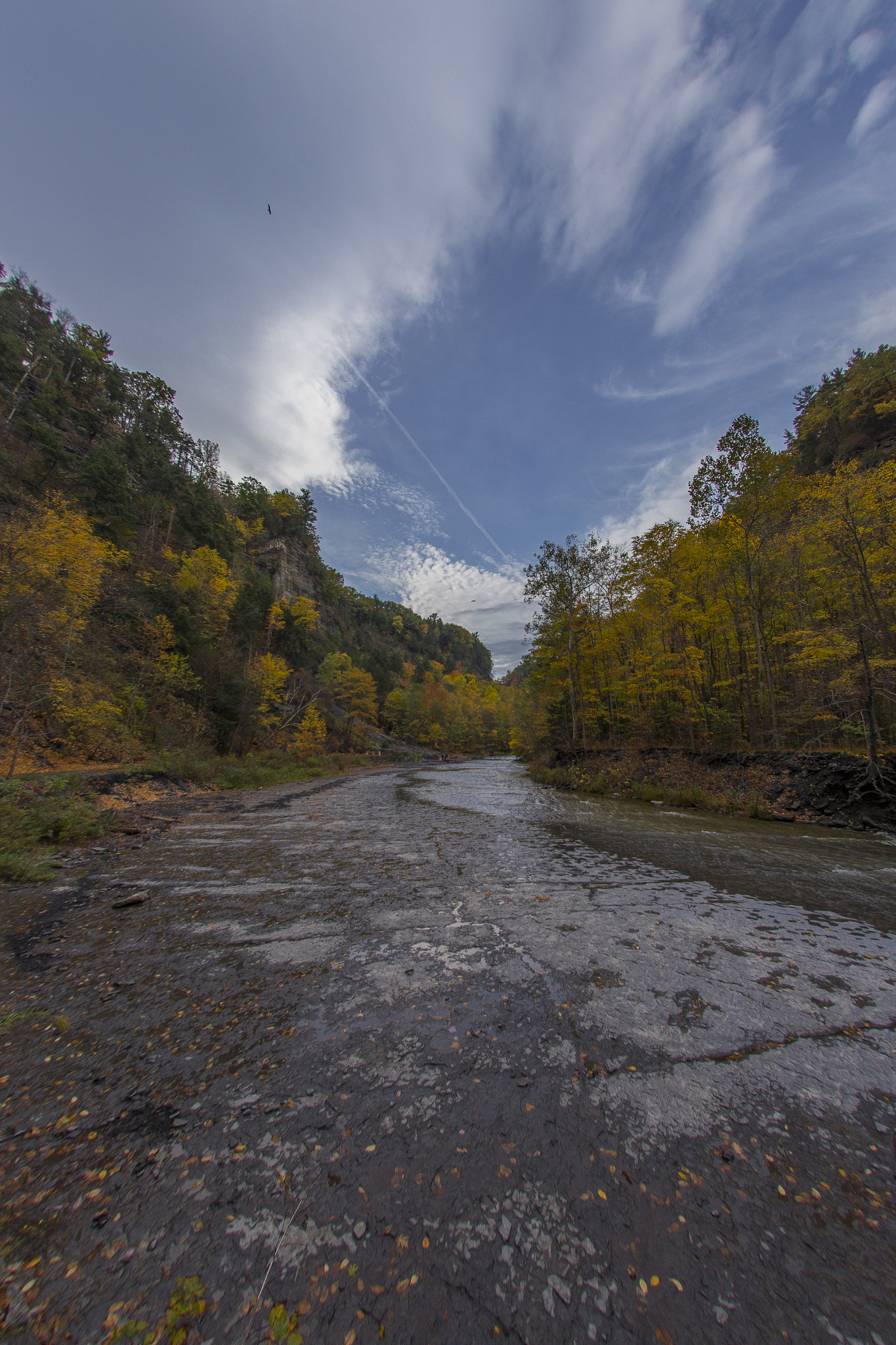 Canon EOS 6D + Sigma 15mm f/2.8 EX Fisheye sample photo. Creek photography