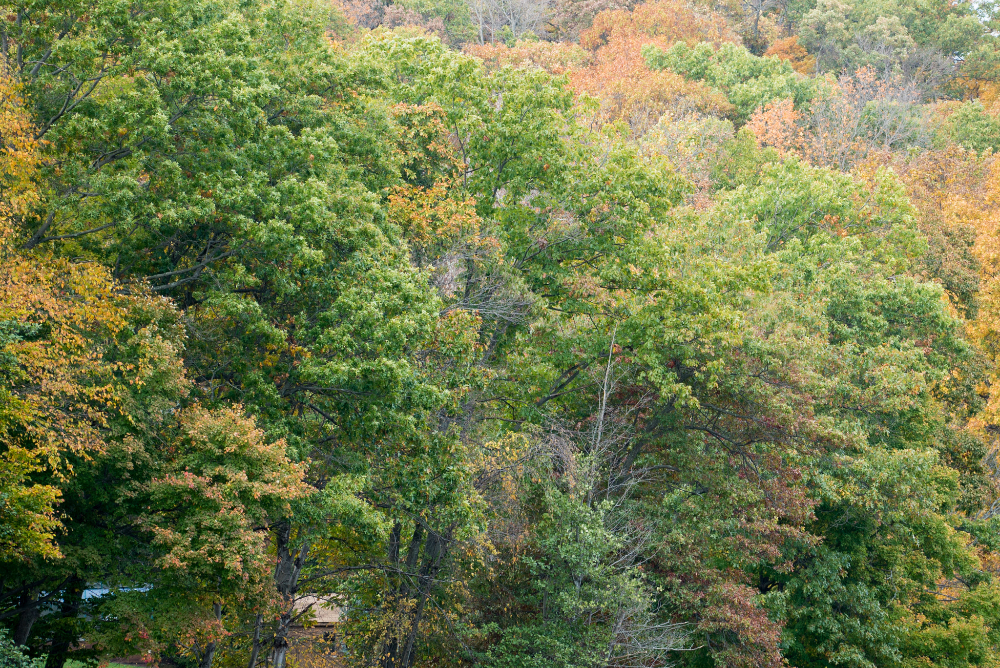 Sony a7S + Sony FE 70-200mm F4 G OSS sample photo. Pocantico lake county park photography