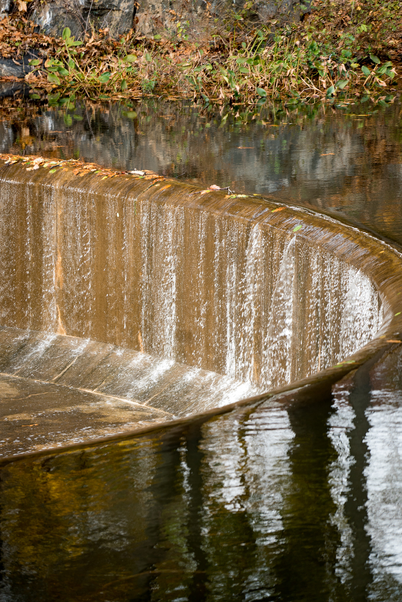 Sony a7S + Sony FE 70-200mm F4 G OSS sample photo. Pocantico lake county park photography