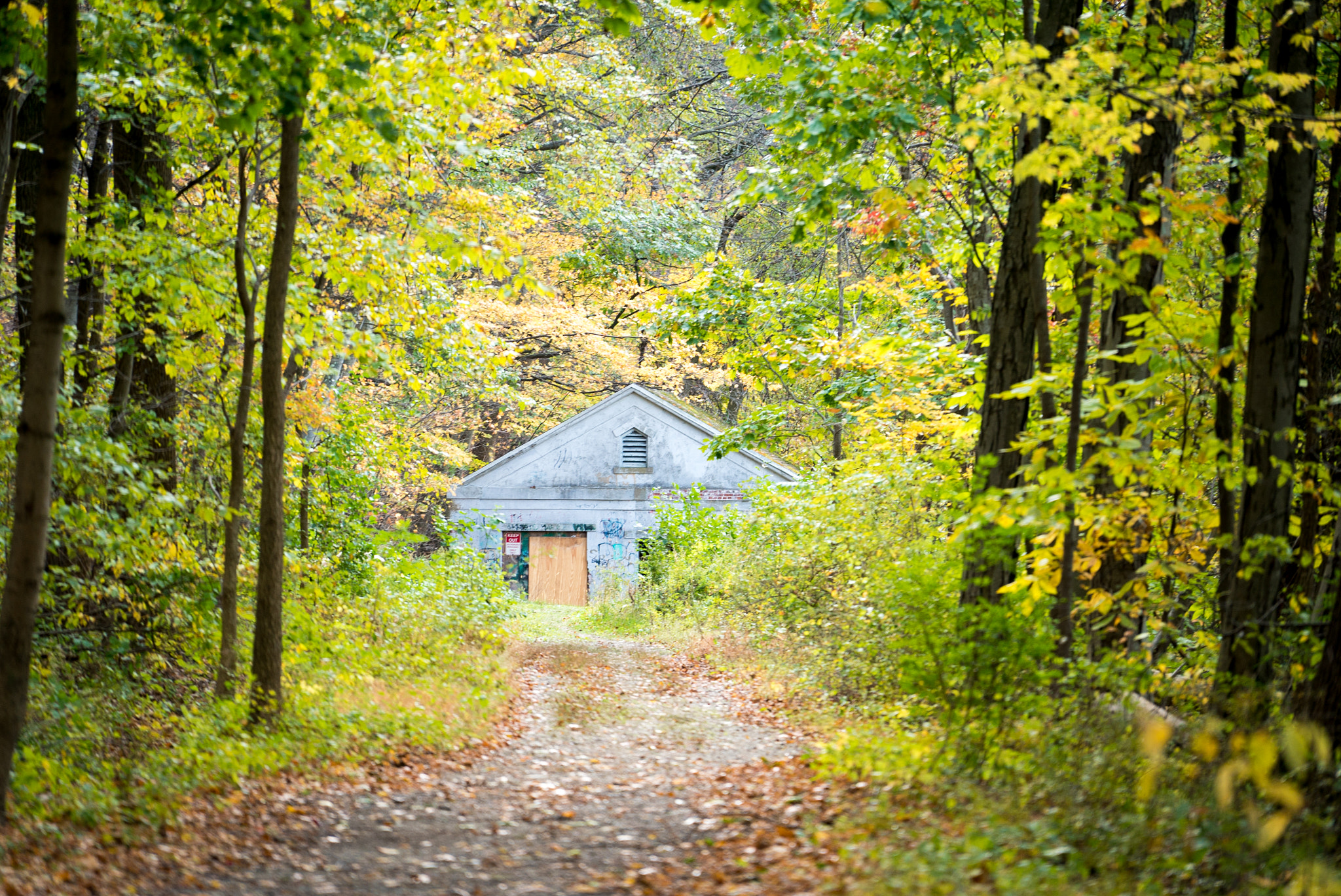 Sony a7S + Sony FE 70-200mm F4 G OSS sample photo. Pocantico lake county park photography