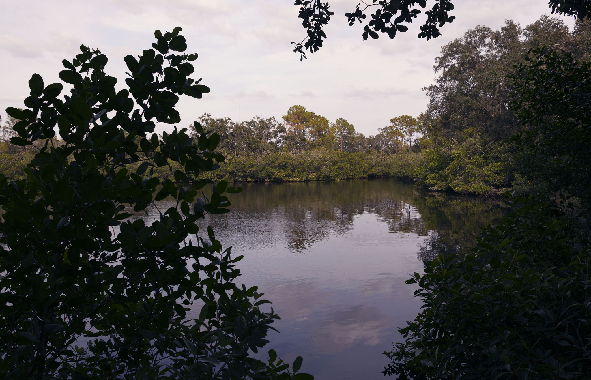 Canon EF 28mm F1.8 USM sample photo. Howard park bayou photography