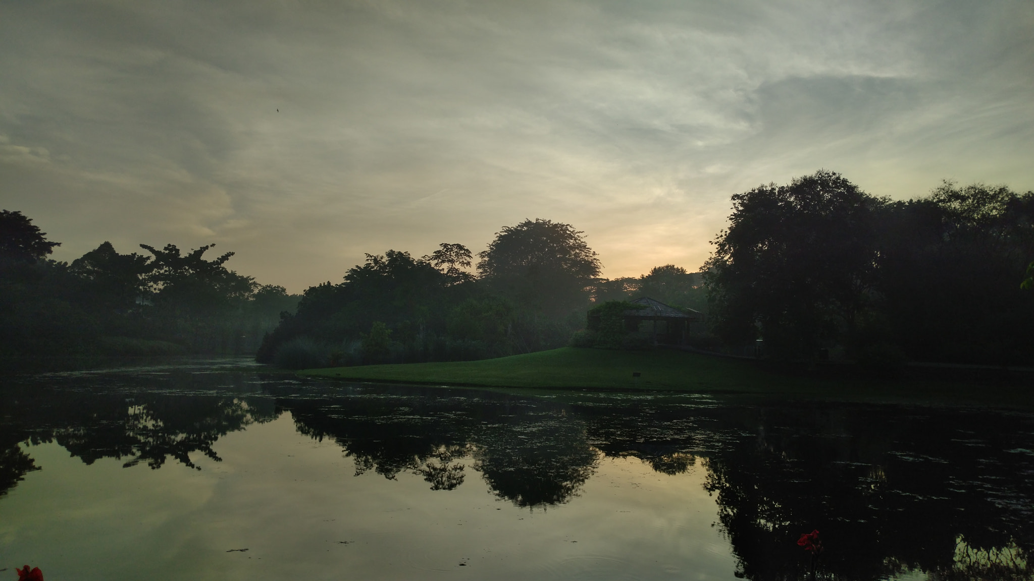 ZTE A2017 sample photo. Morning @ singapore botanic garden  photography