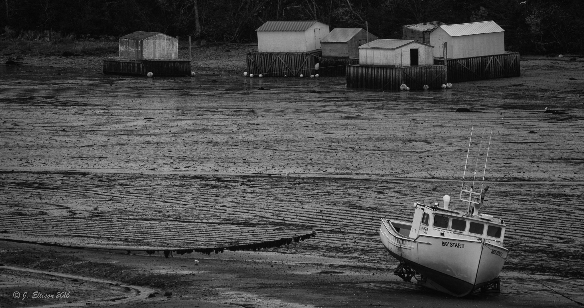Canon EOS 550D (EOS Rebel T2i / EOS Kiss X4) + Sigma 150-600mm F5-6.3 DG OS HSM | C sample photo. Sandy cove low tide, ns photography
