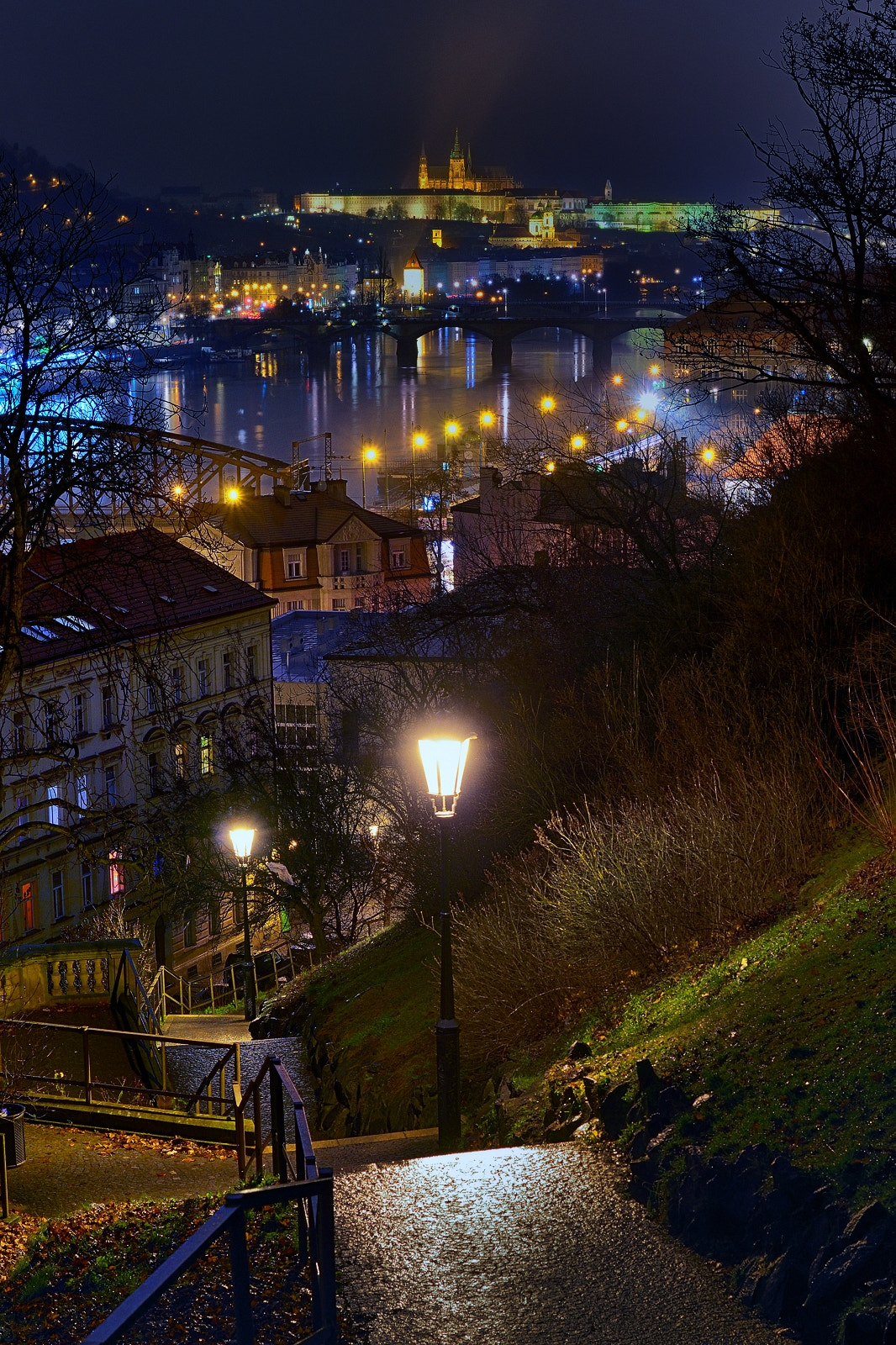 Nikon D800E + Nikon AF-S Nikkor 50mm F1.8G sample photo. A night for a walk photography