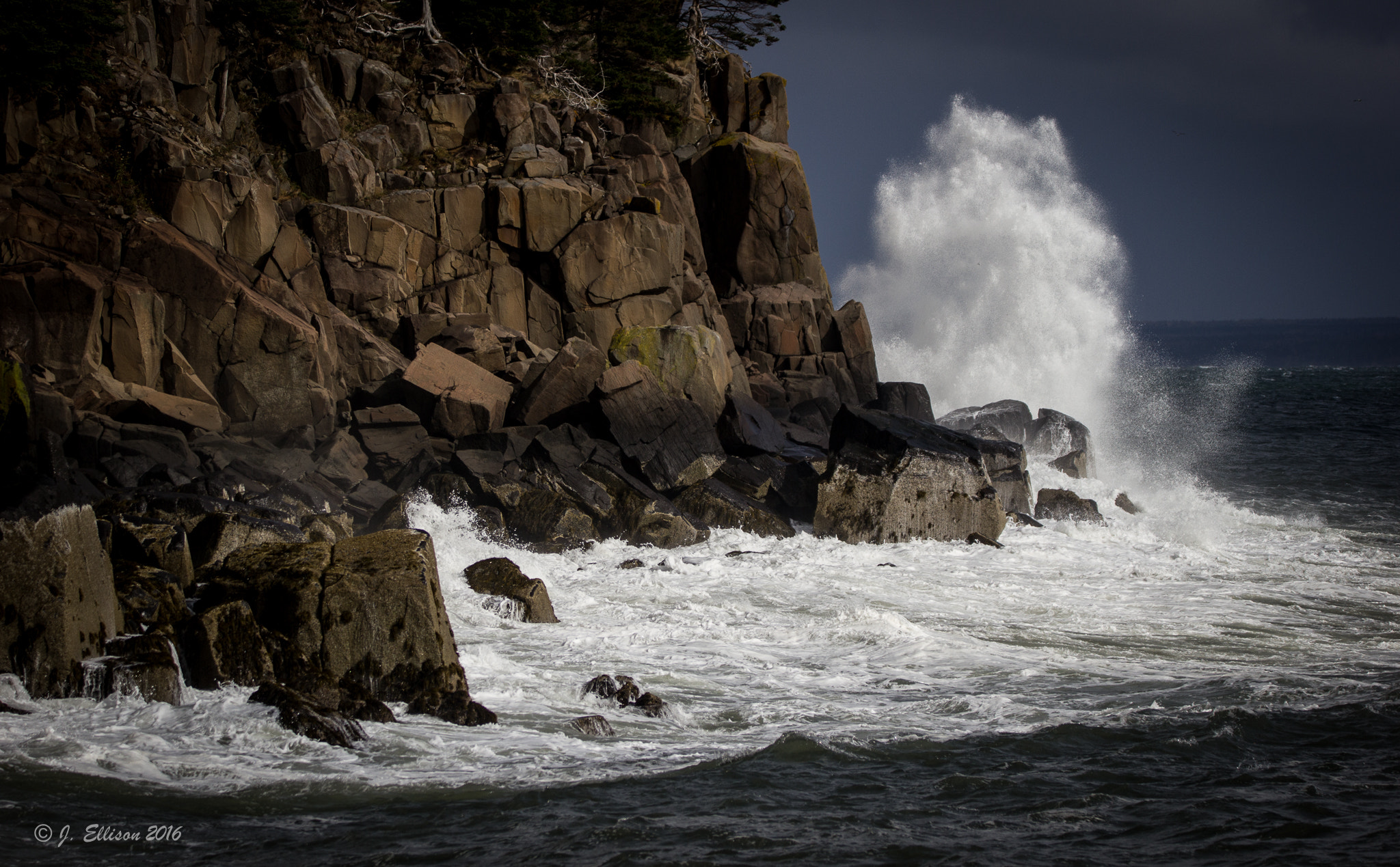 Sigma 150-600mm F5-6.3 DG OS HSM | C sample photo. Little river, ns photography