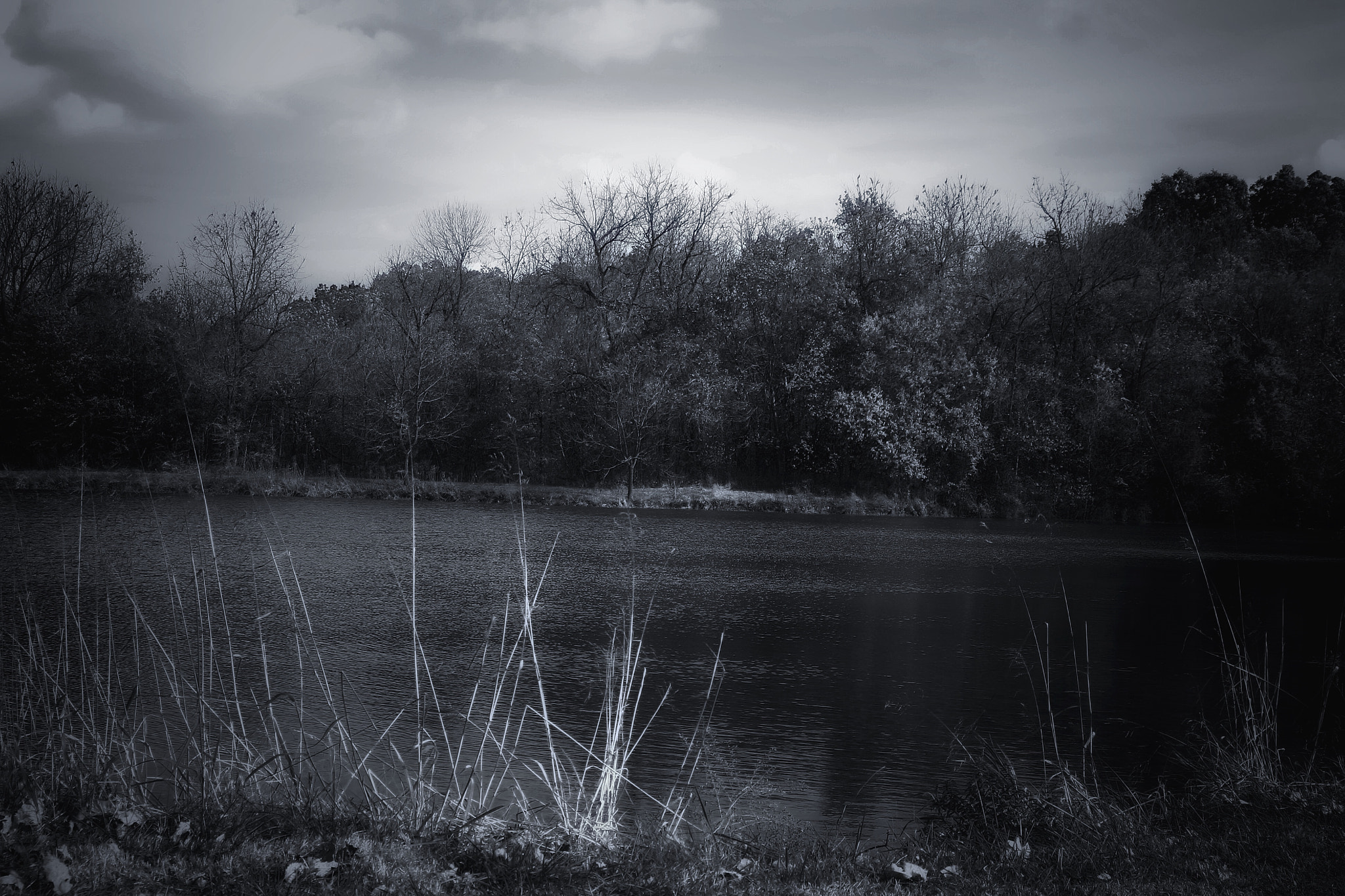 Tamron AF 28-200mm F3.8-5.6 XR Di Aspherical (IF) Macro sample photo. The lake at ritter springs park photography