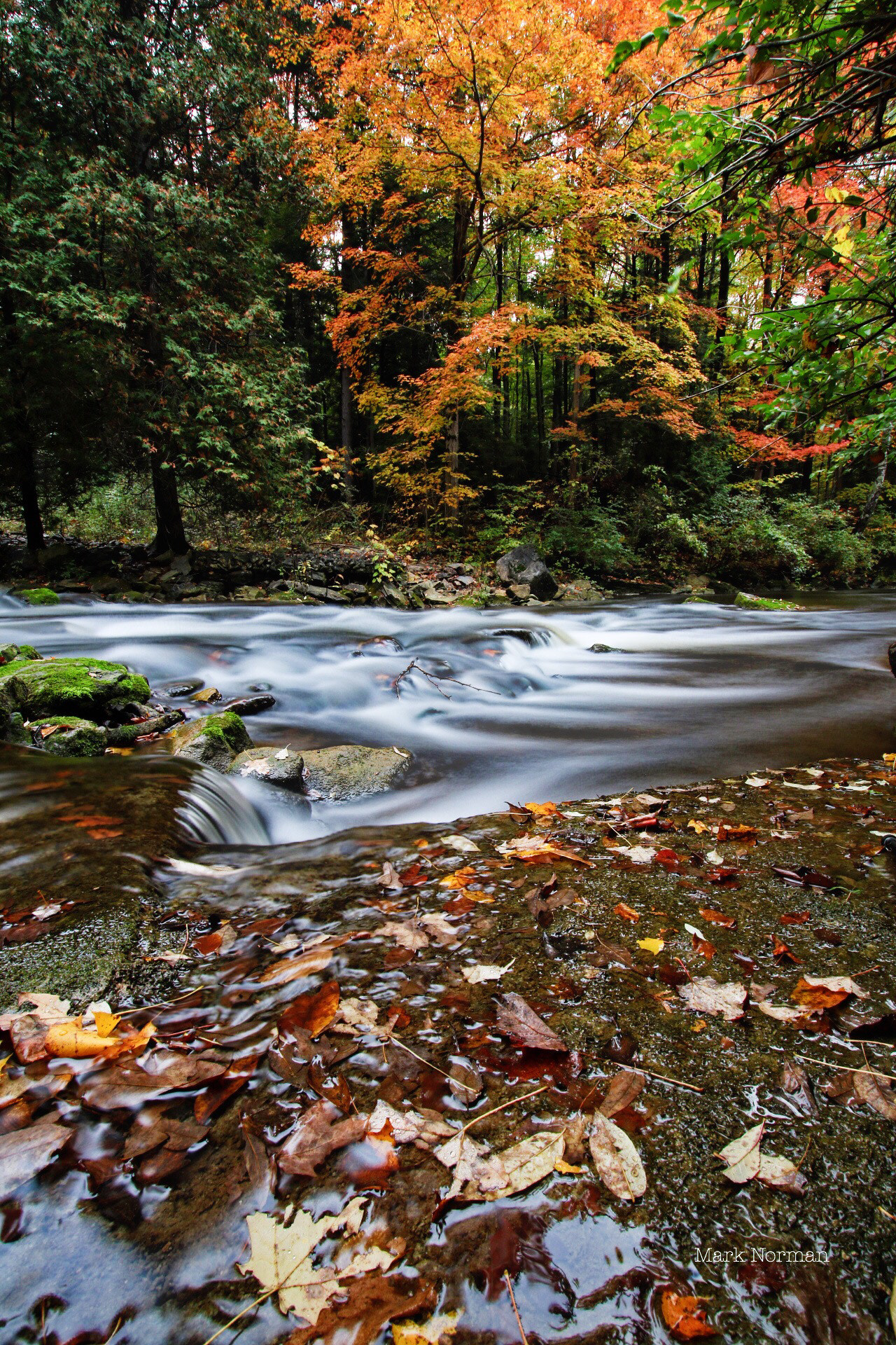 Sigma 10-20mm F3.5 EX DC HSM sample photo. A fall evening in grey sauble conservation area photography