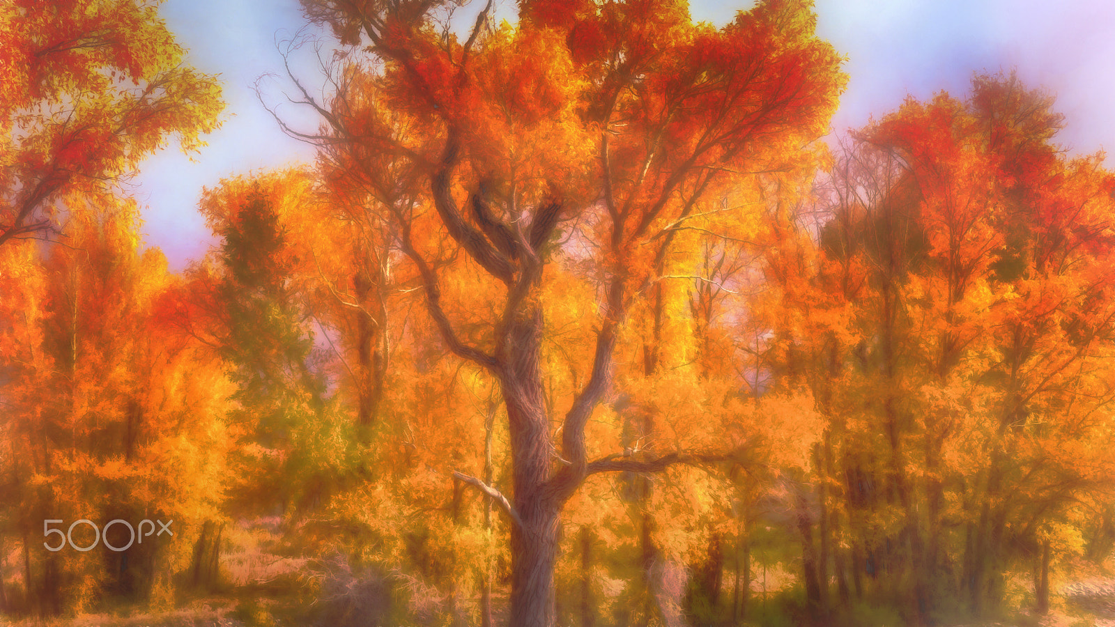 Panasonic Lumix DMC-G5 sample photo. Flaming autumn photography