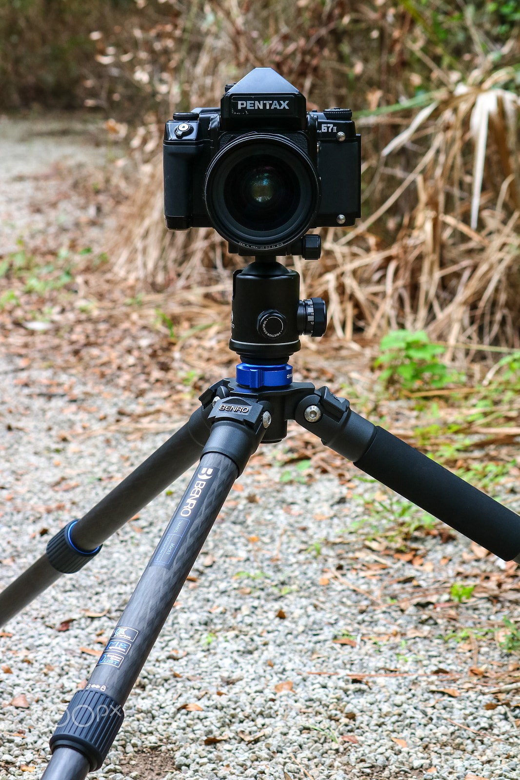 Canon EOS 750D (EOS Rebel T6i / EOS Kiss X8i) sample photo. Say "cheese " ! photography