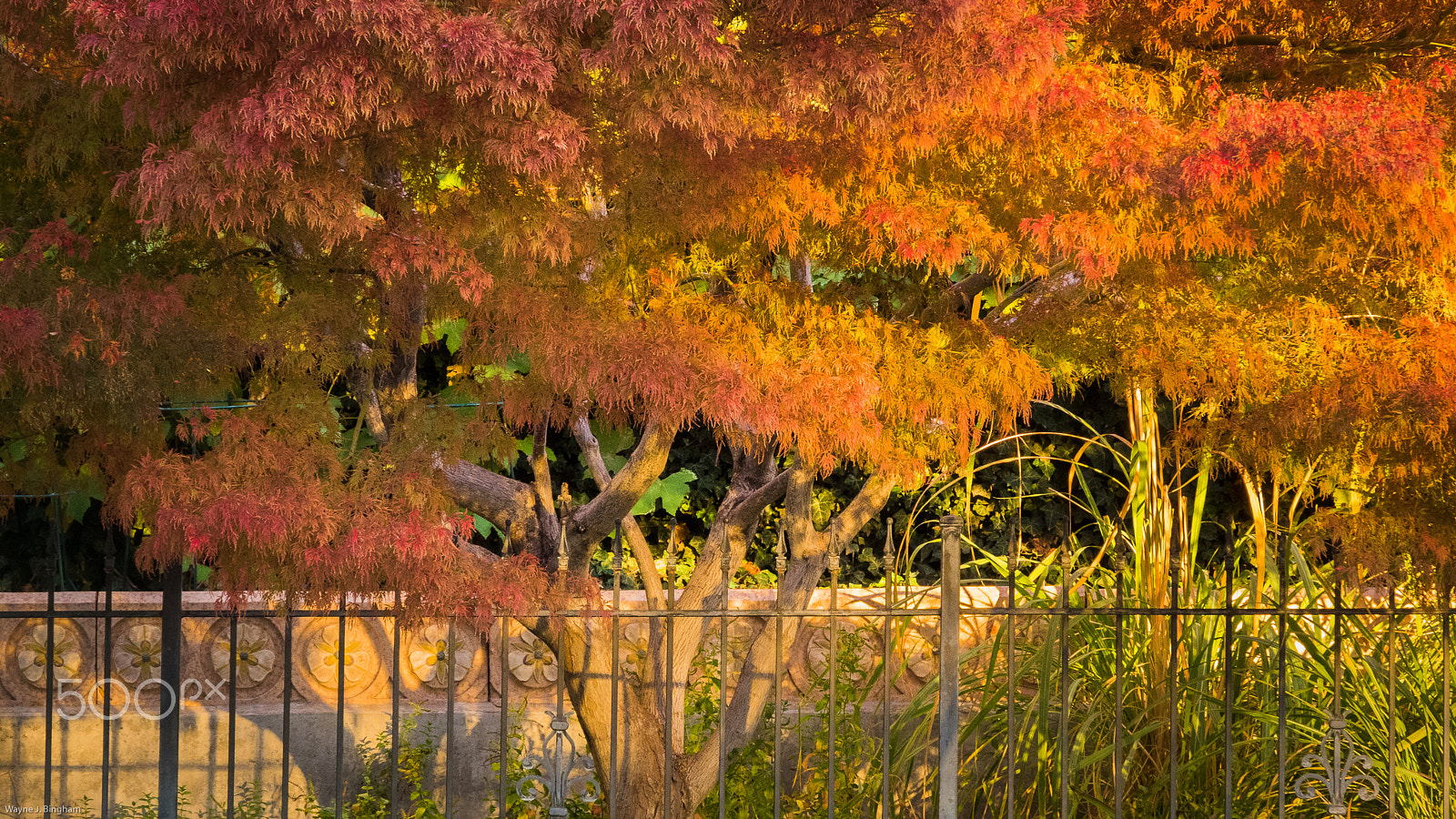 Olympus OM-D E-M1 sample photo. Twilight photography