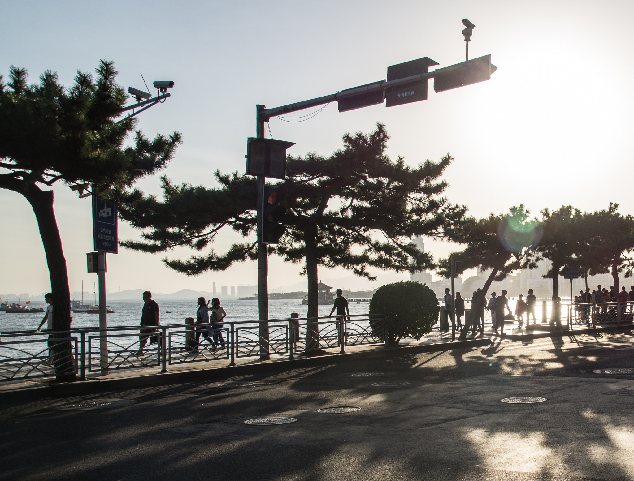 Sony SLT-A58 sample photo. Cn - boardwalk photography