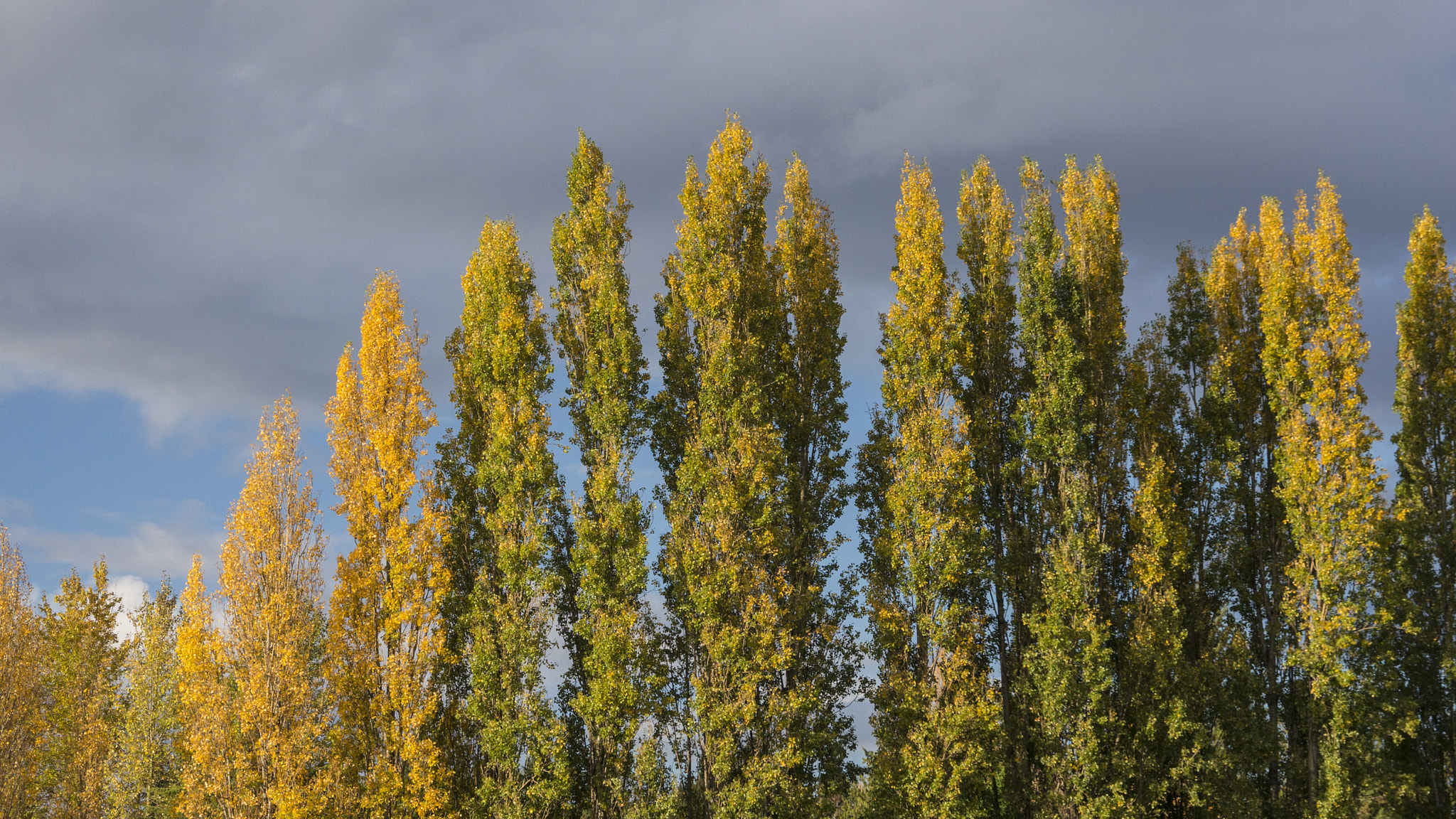 Sony E 18-200mm F3.5-6.3 OSS sample photo. Over the top photography