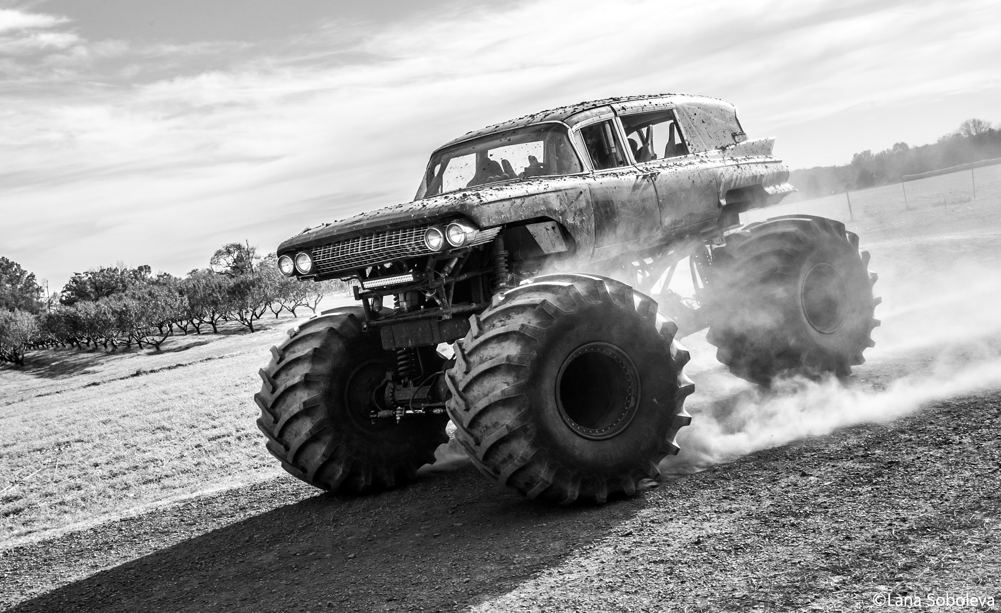 Canon EF 16-35mm F4L IS USM sample photo. A monster at an apple orchard photography
