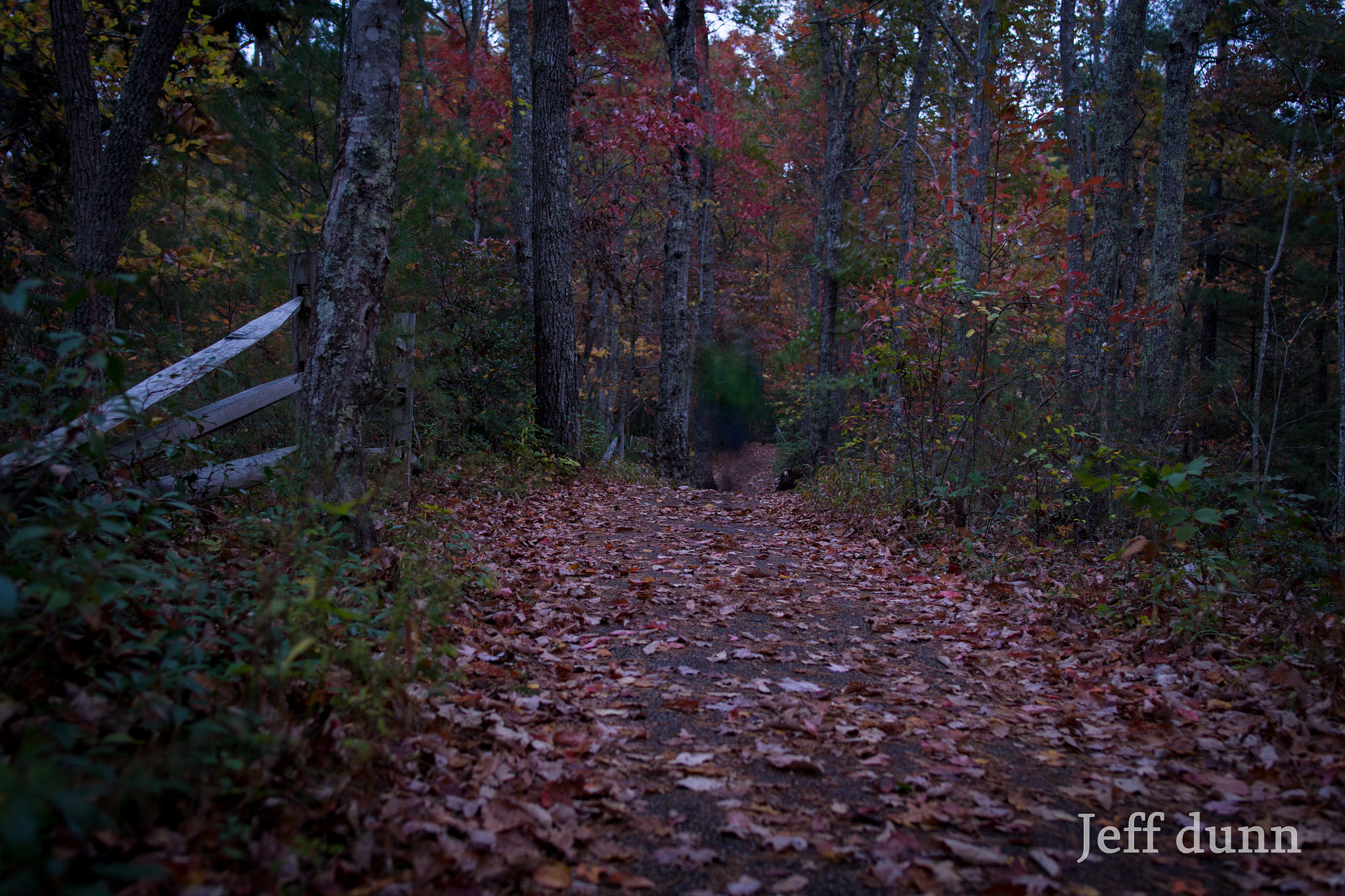 Tamron SP 35mm F1.8 Di VC USD sample photo. Ghost path photography