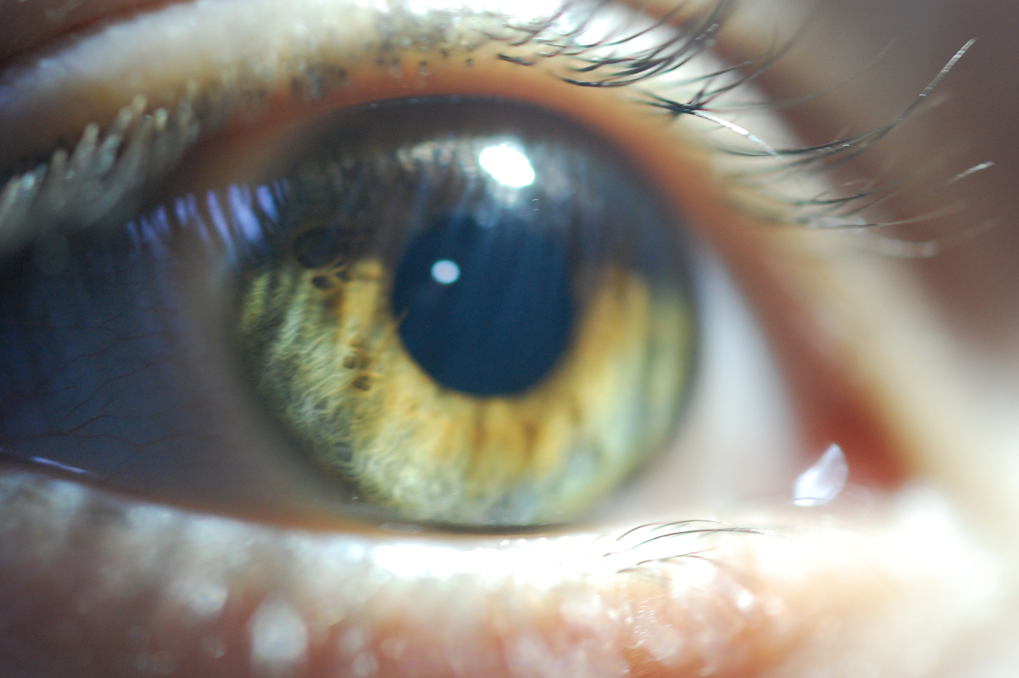 Nikon AF-S DX Micro Nikkor 40mm F2.8 sample photo. We are blind to what we think we know. photography