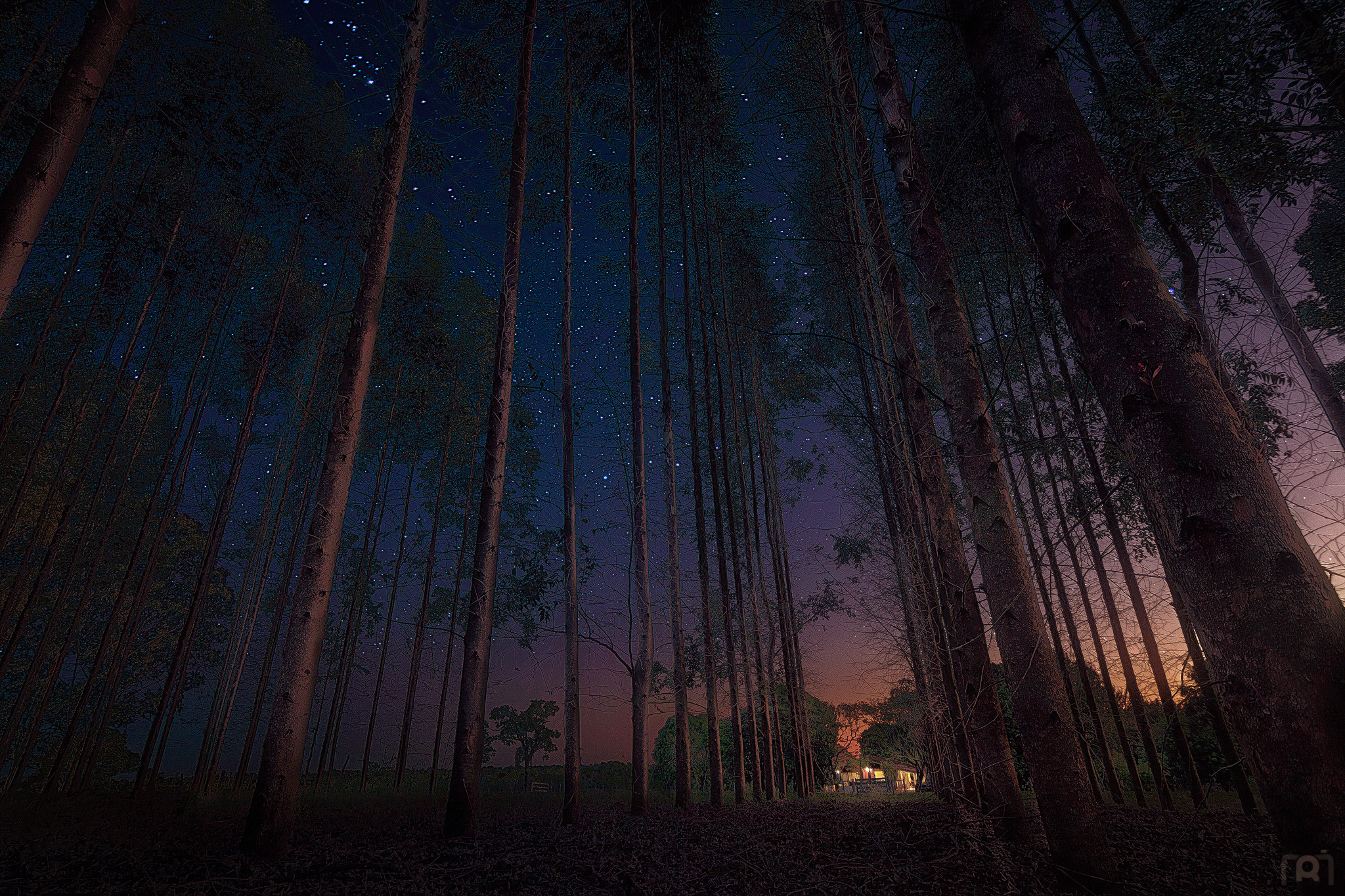 Canon EOS 600D (Rebel EOS T3i / EOS Kiss X5) sample photo. Night country life photography