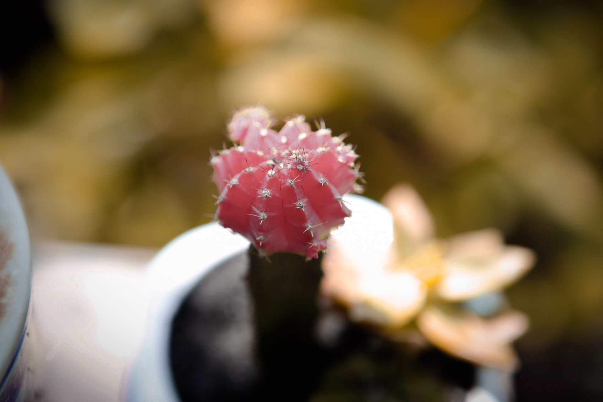 Canon EF 24-70mm F2.8L USM sample photo
