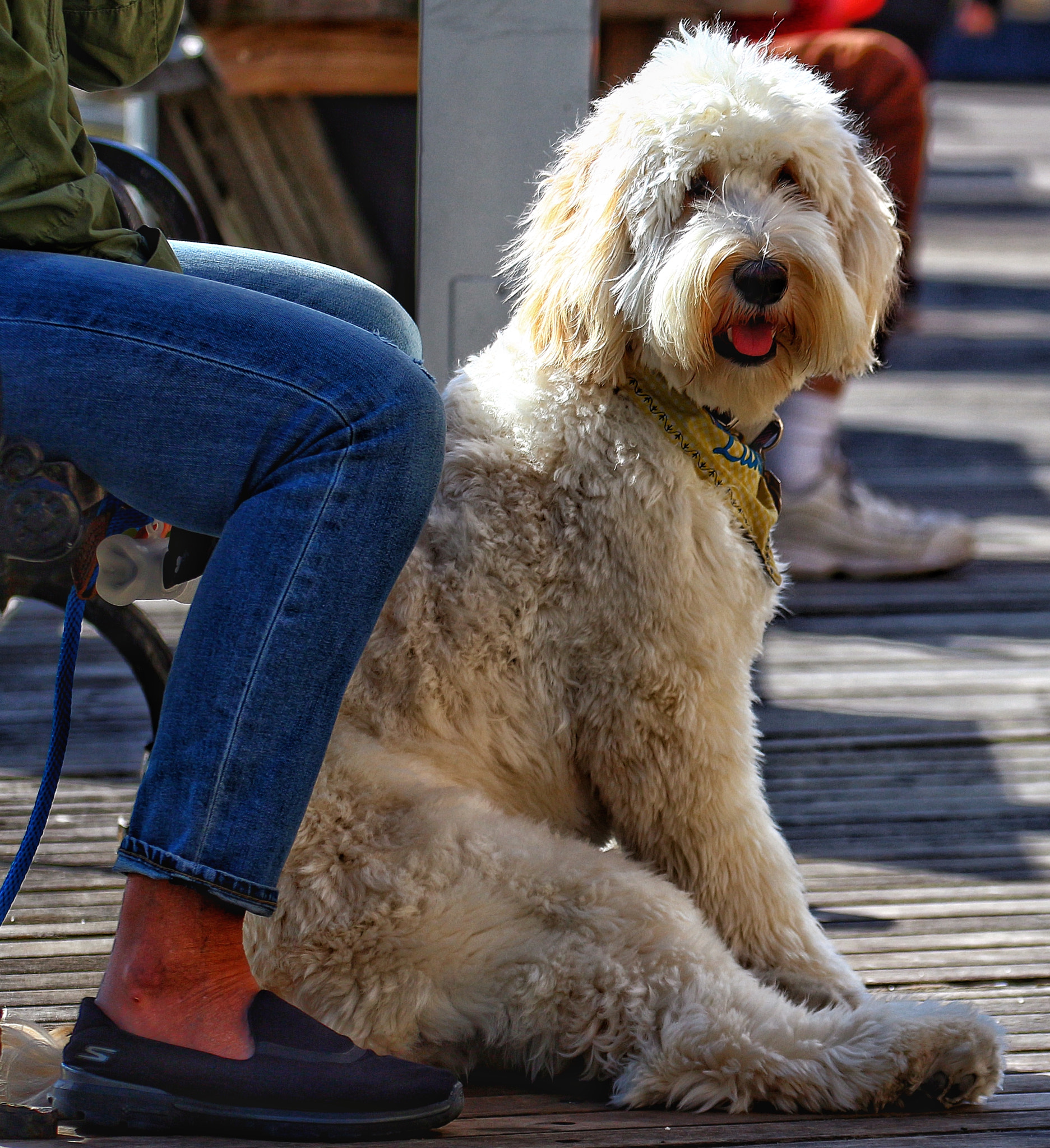 Canon EF 70-300mm F4-5.6L IS USM sample photo. Relaxing with mom photography